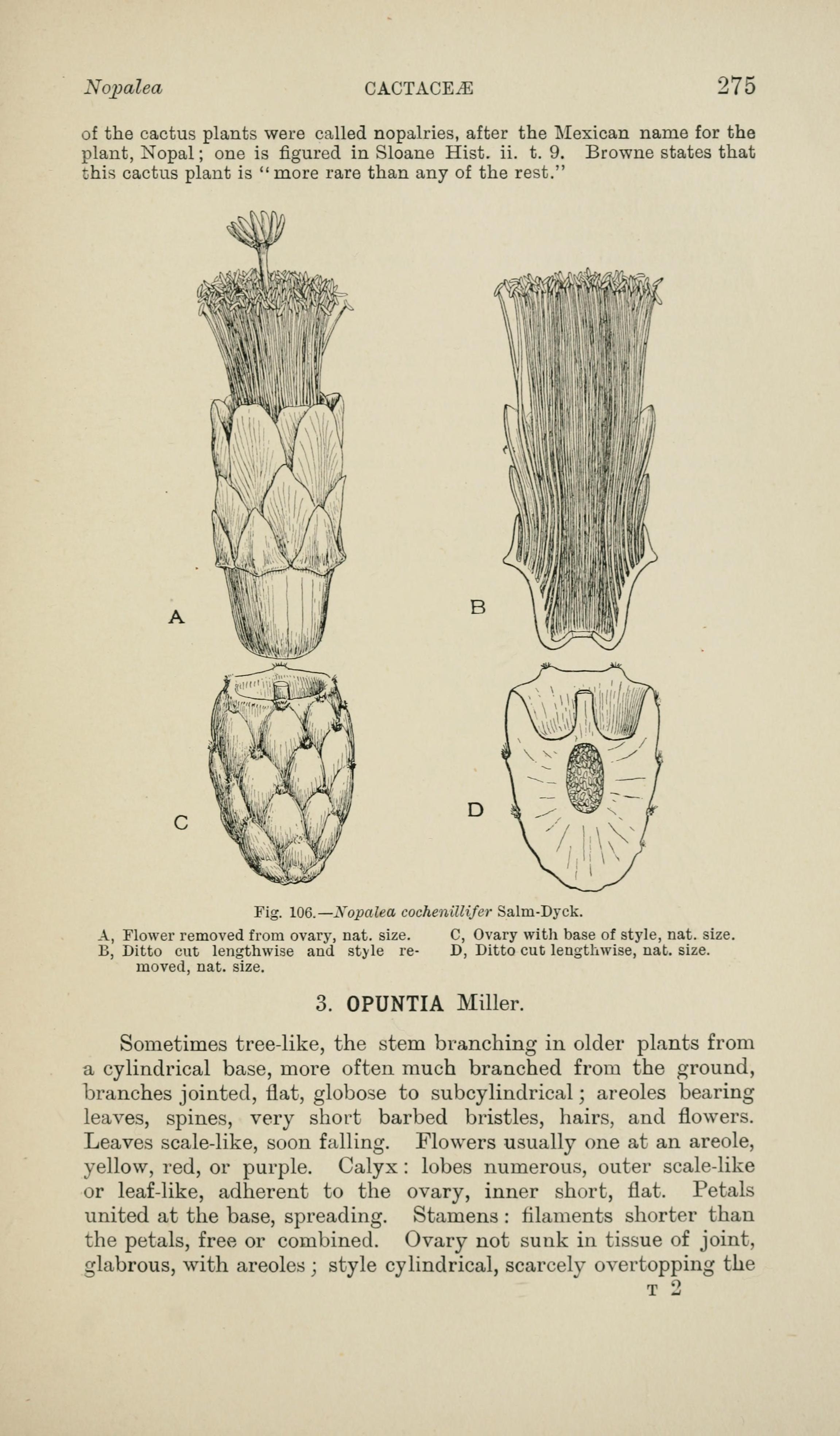 no full size  illustration available (3a)