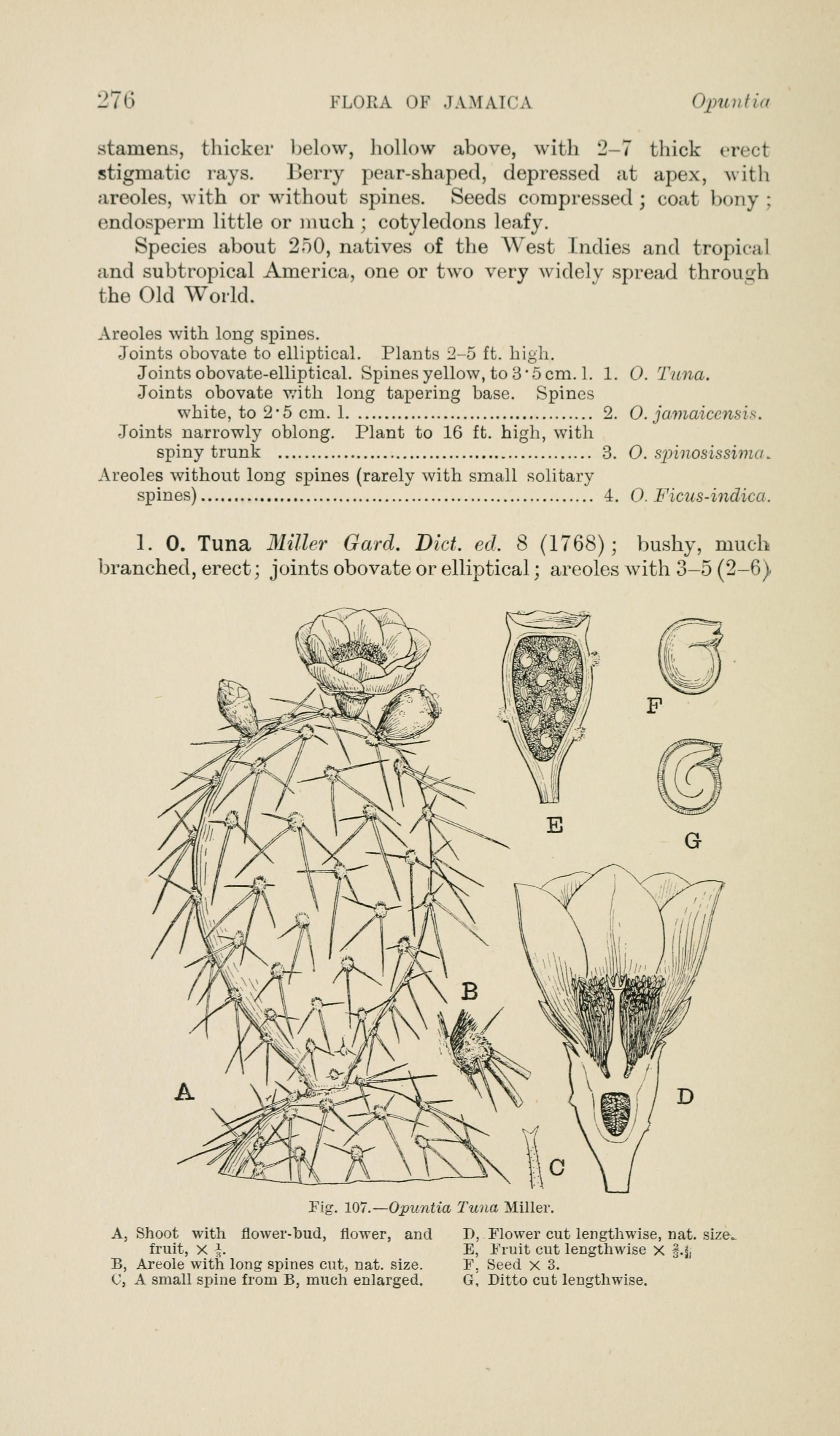 no full size  illustration available (3a)