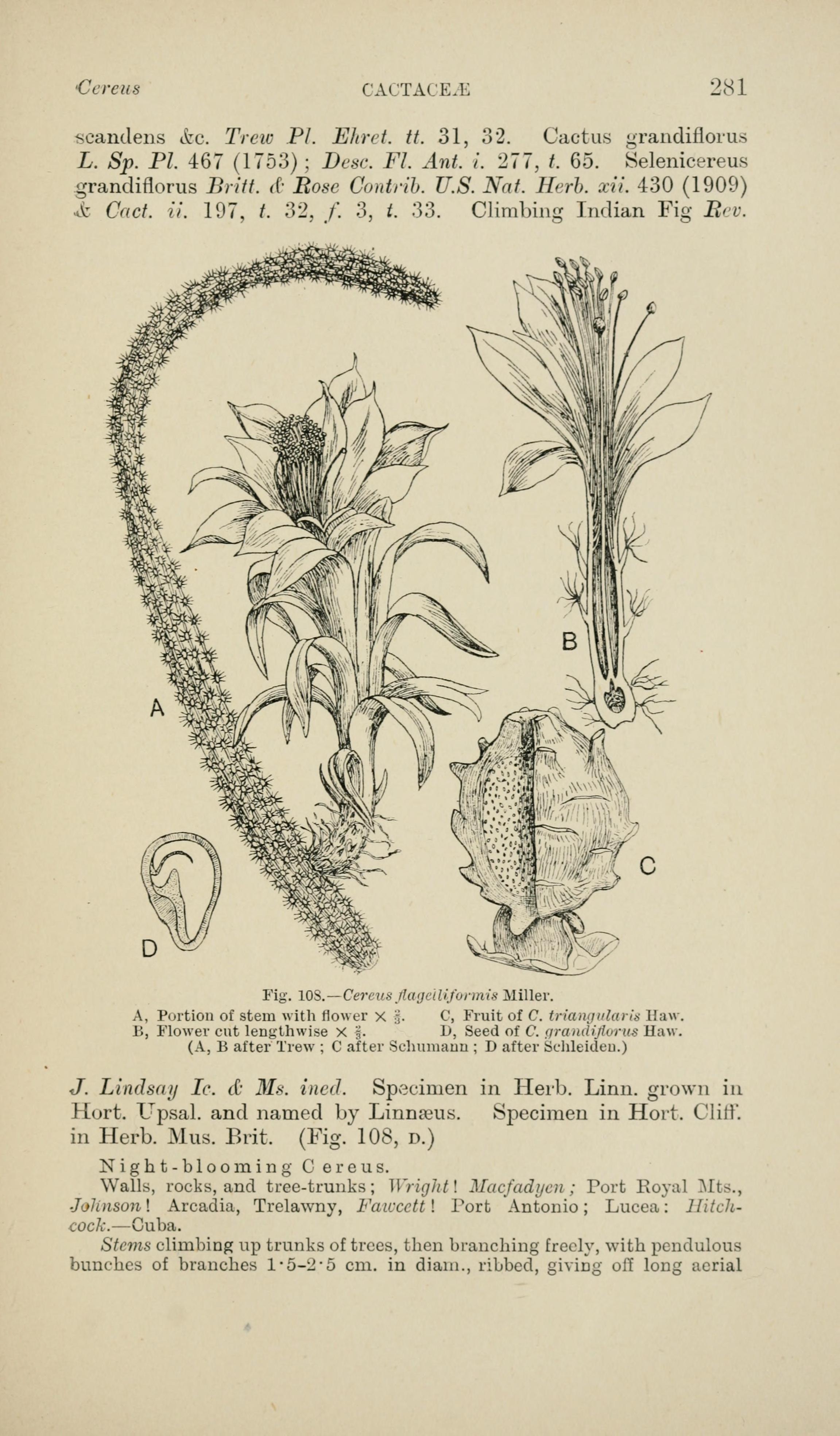 no full size  illustration available (3a)