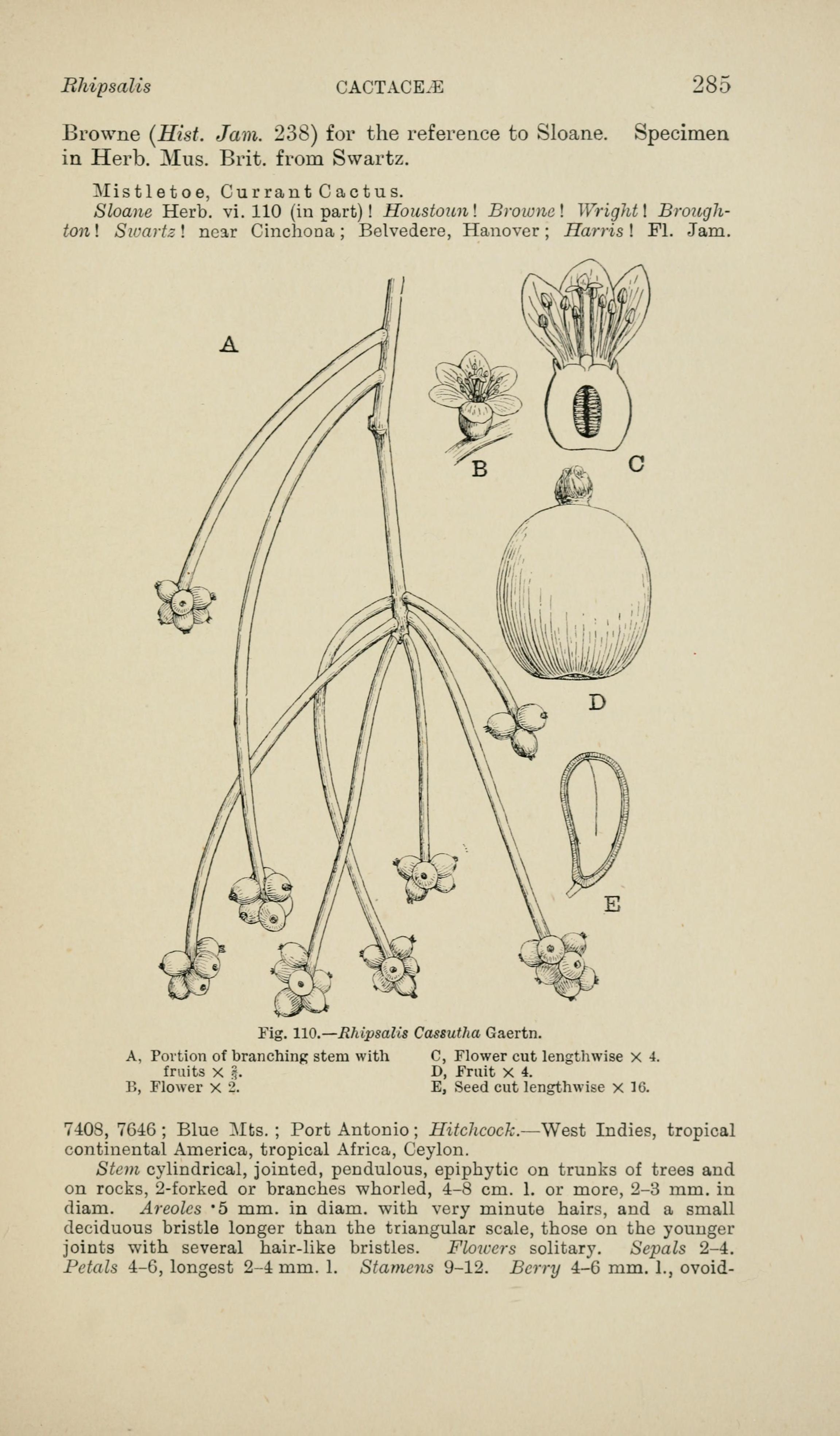 no full size  illustration available (3a)