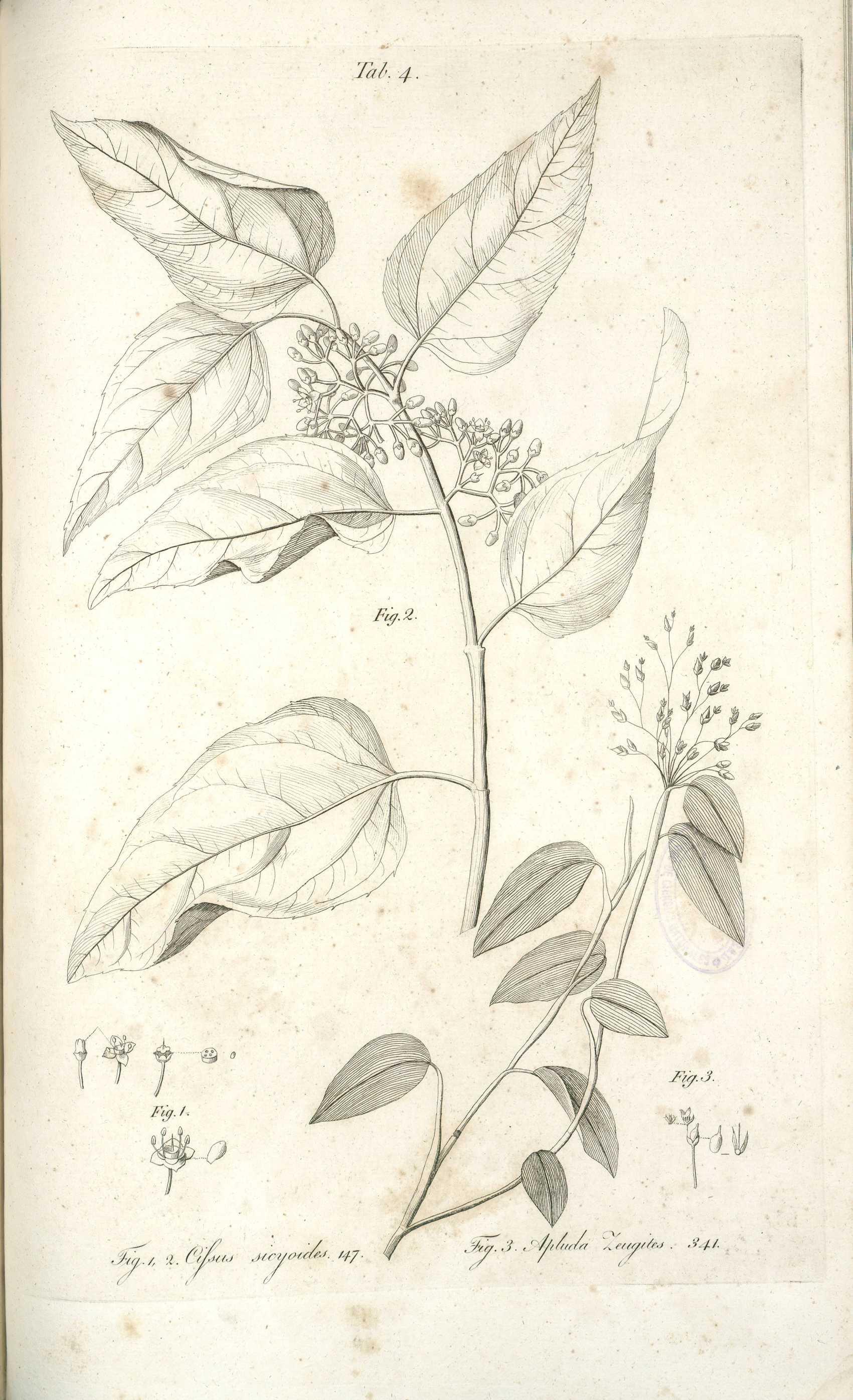 no full size  illustration available (3a)