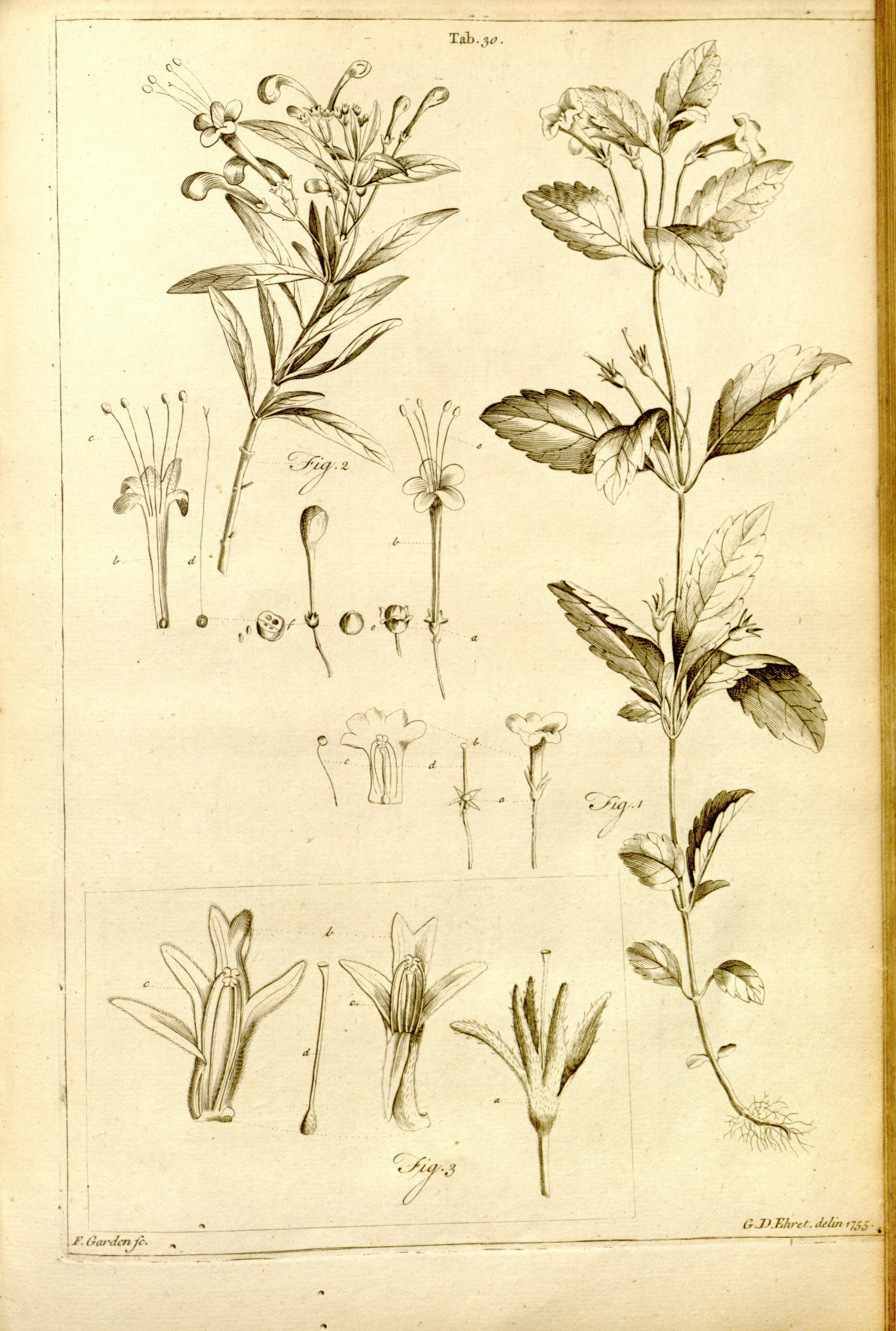 no full size  illustration available (3a)