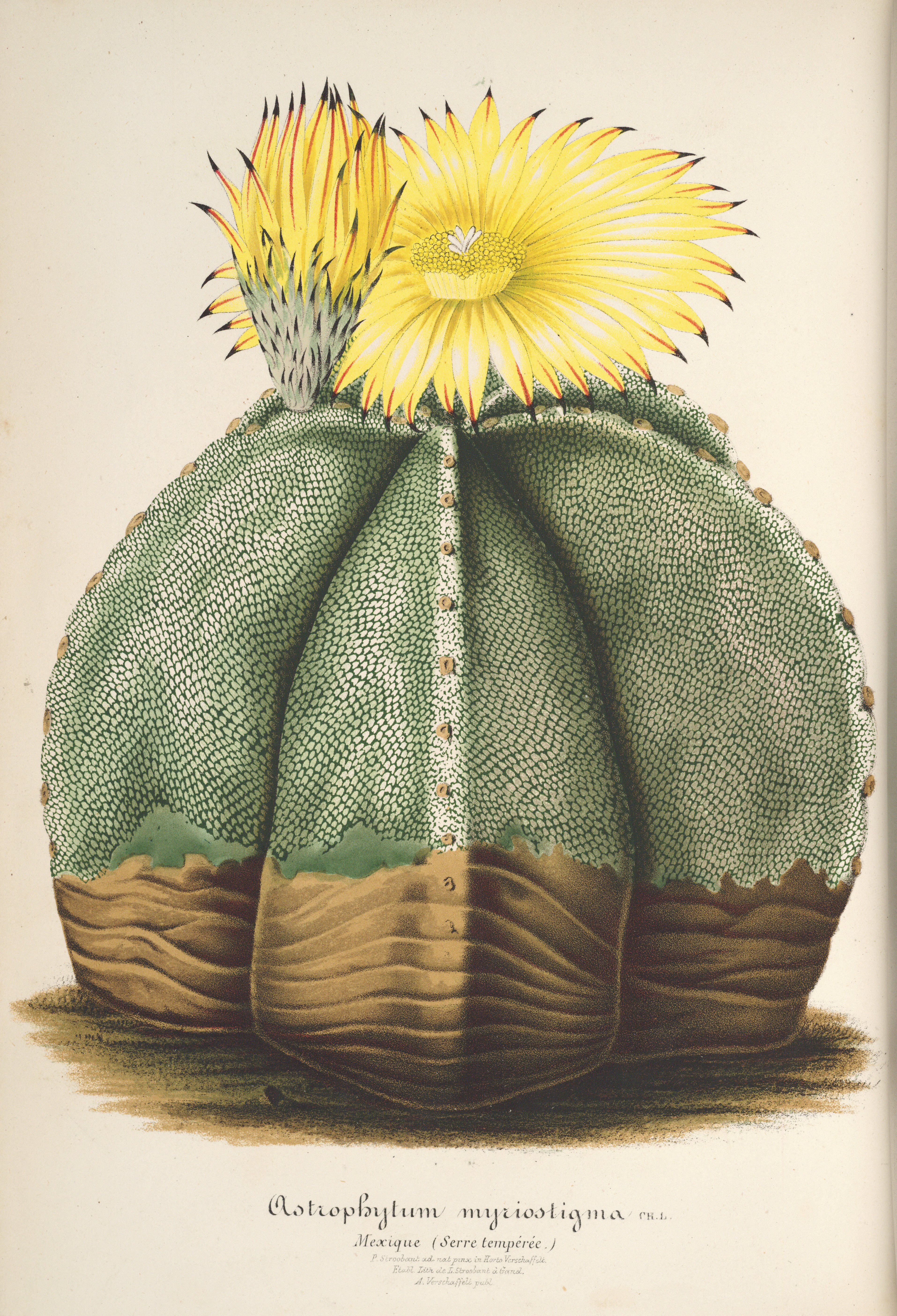 no full size  illustration available (3a)