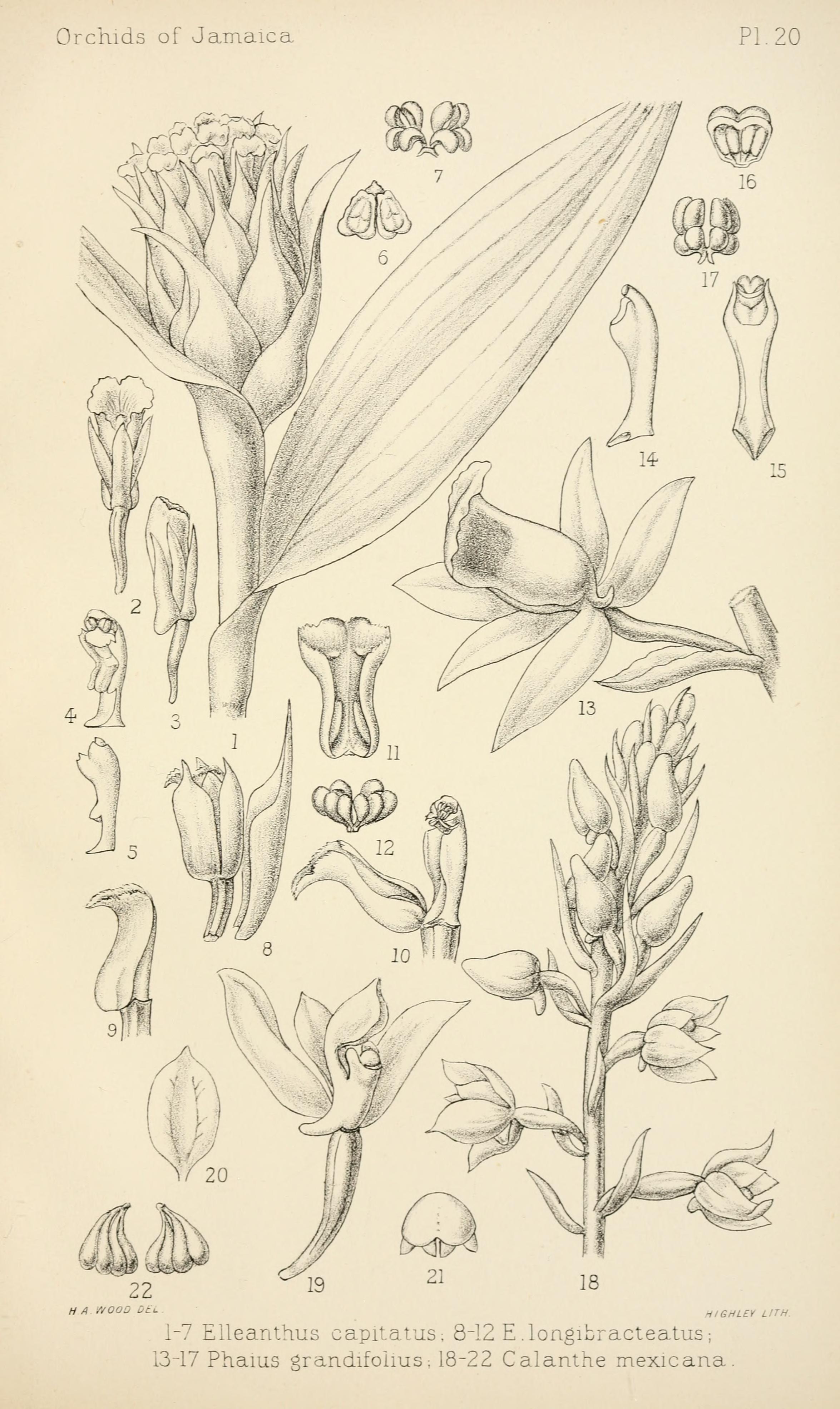 no full size  illustration available (3a)