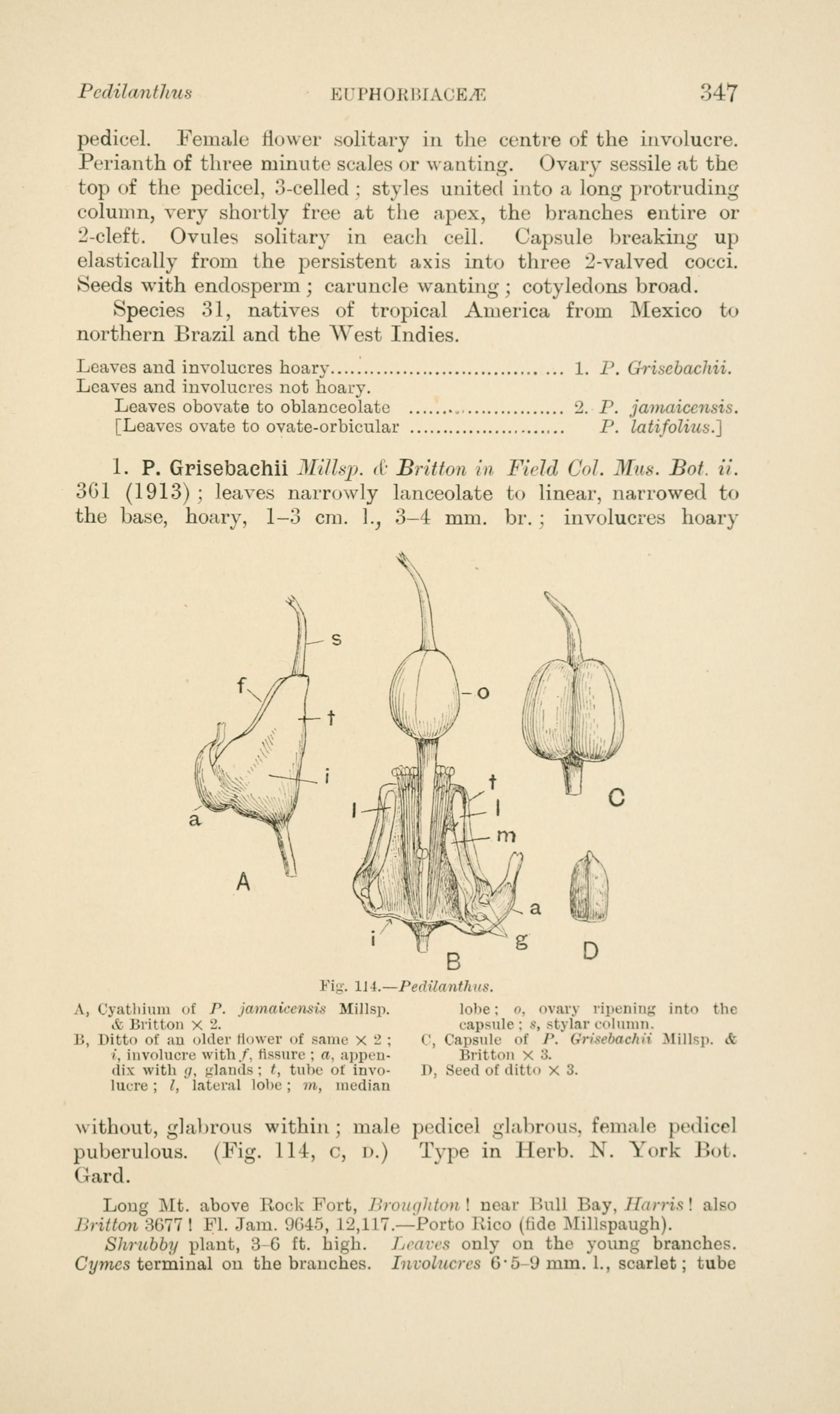 no full size  illustration available (3a)