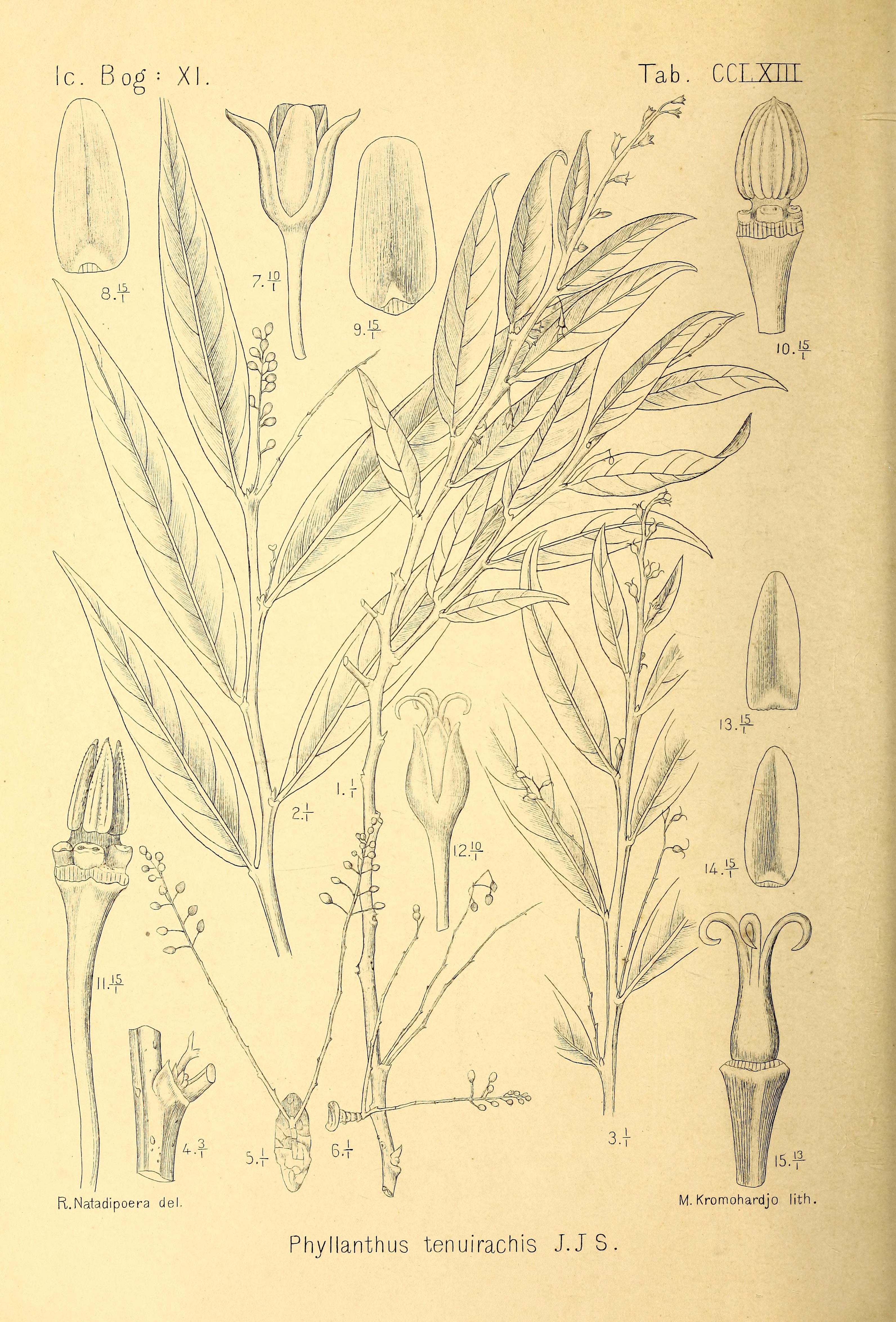 no full size  illustration available (3a)