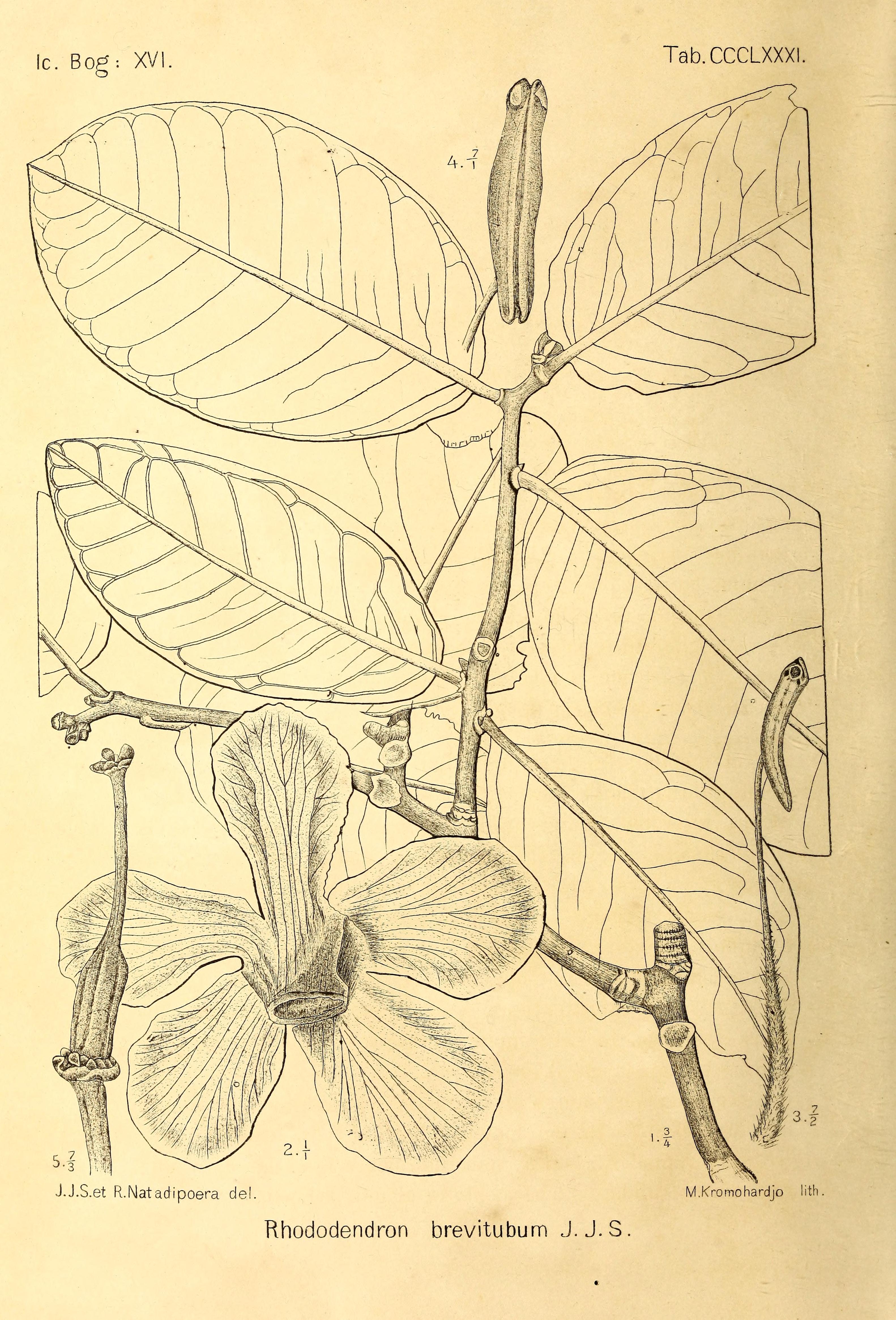 no full size  illustration available (3a)