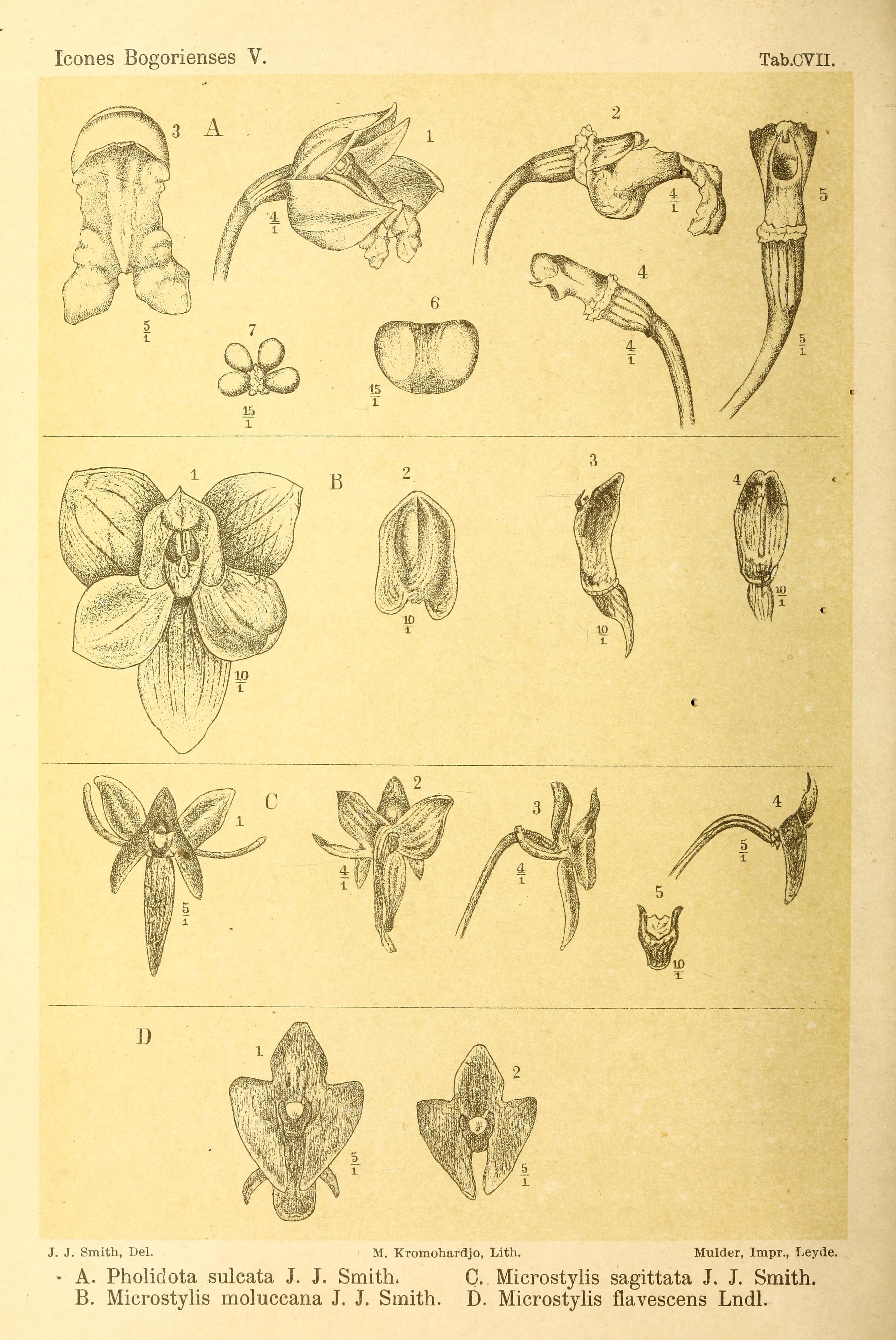 no full size  illustration available (3a)