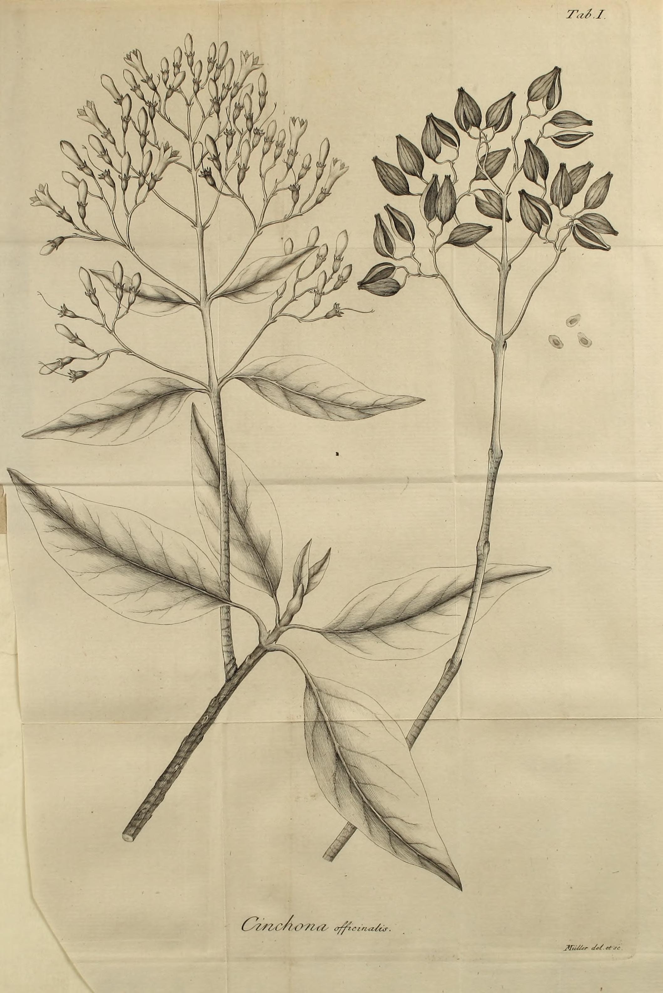 no full size  illustration available (3a)