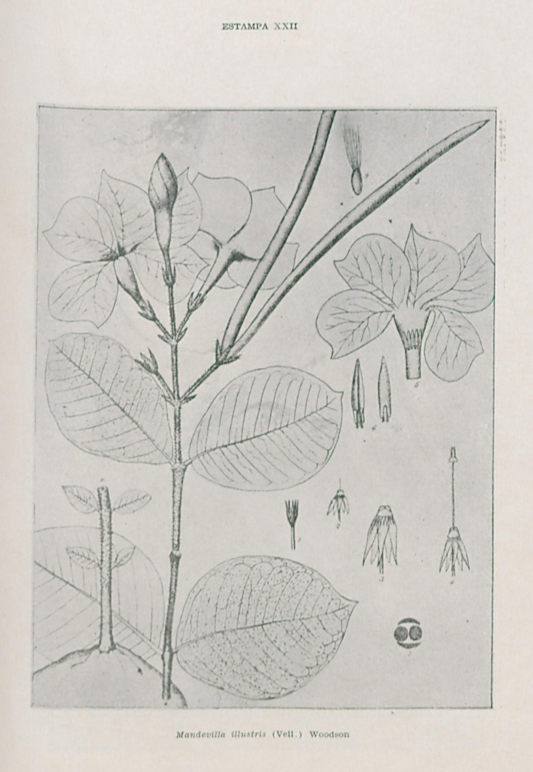 no full size  illustration available (3a)