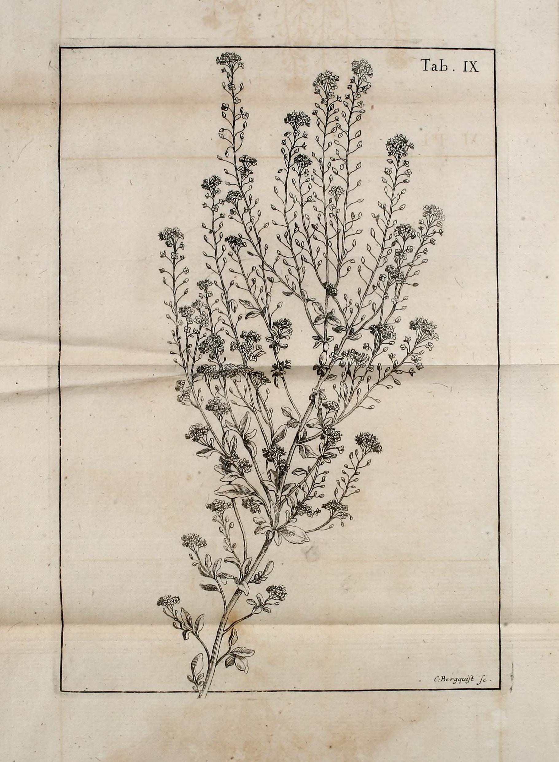 no full size  illustration available (3a)