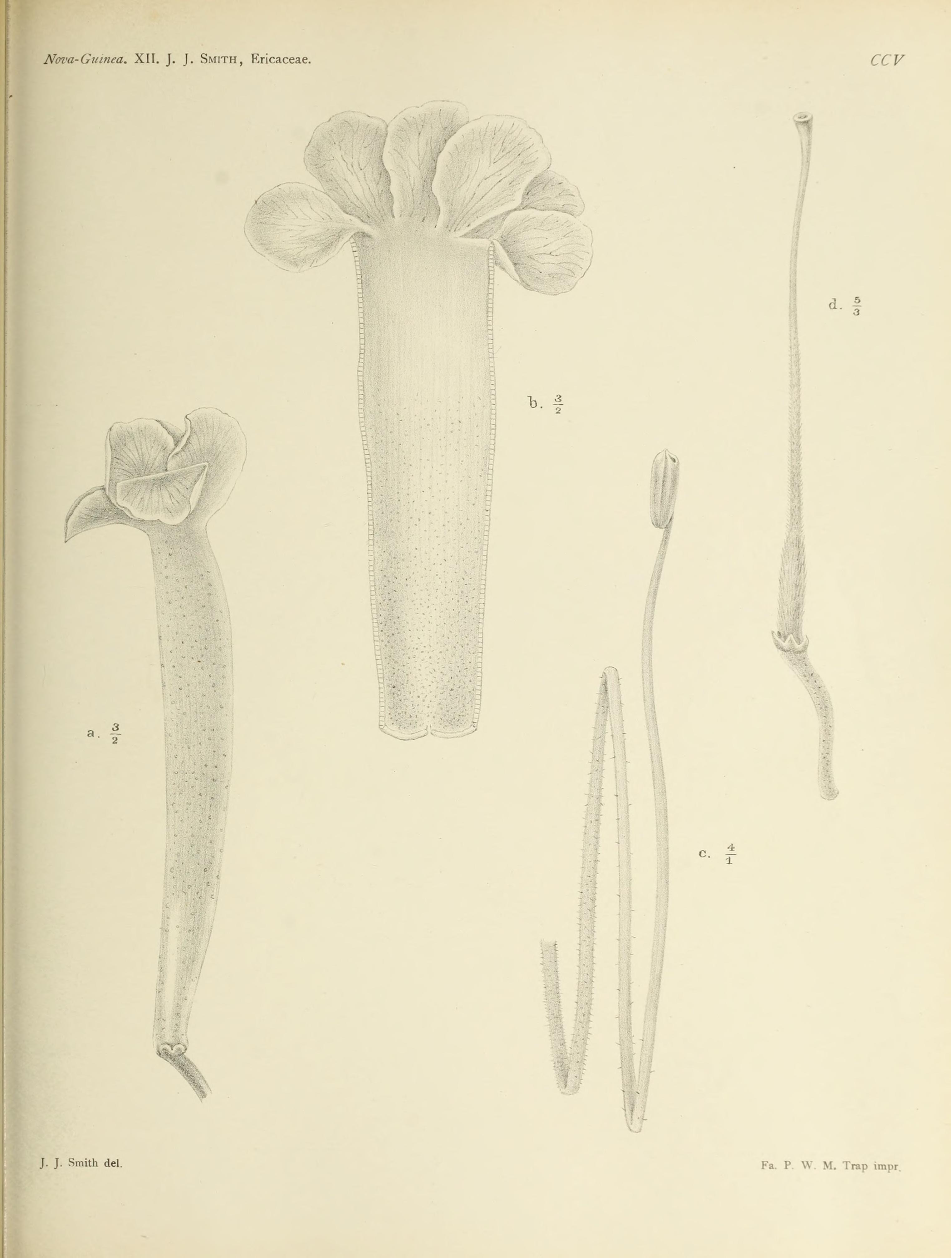 no full size  illustration available (3a)