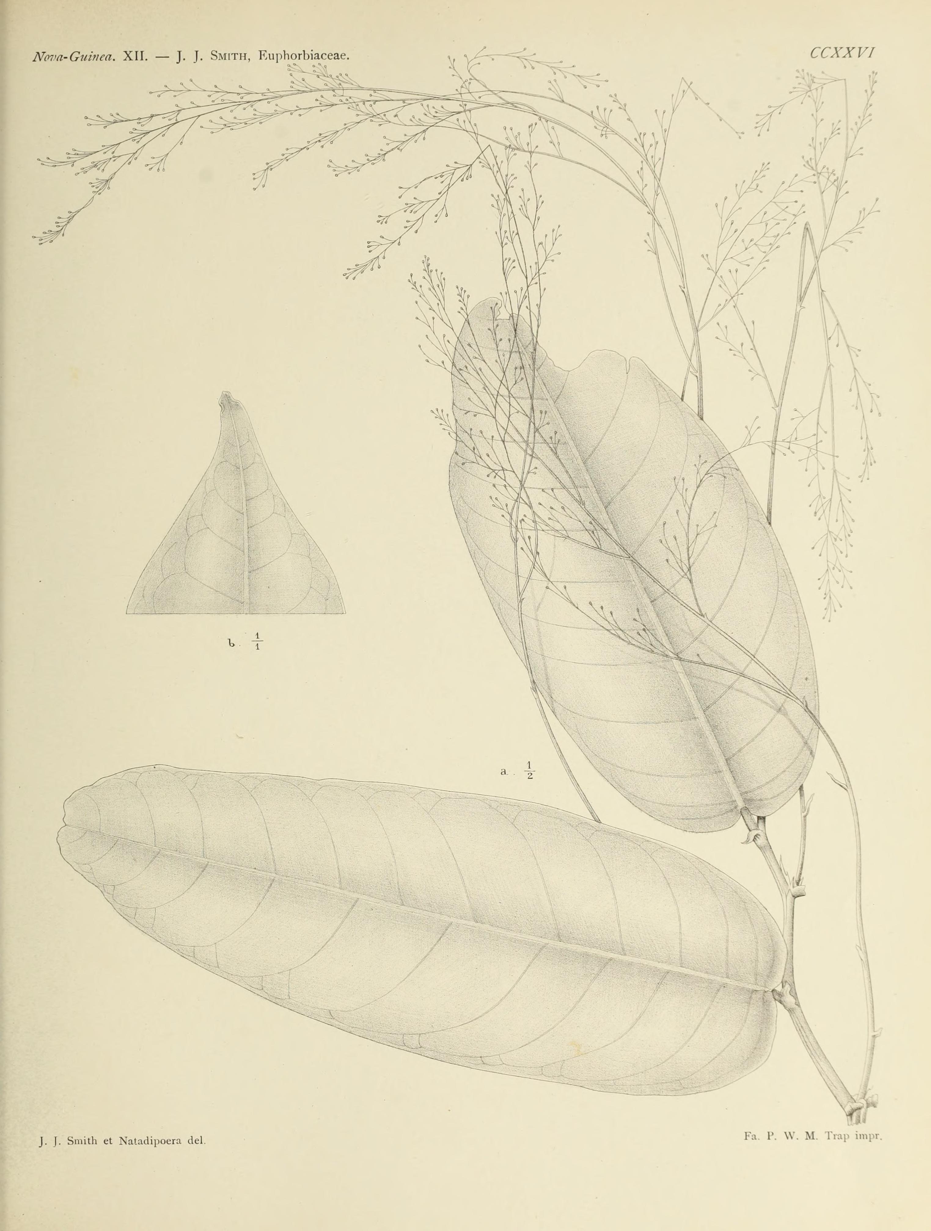 no full size  illustration available (3a)