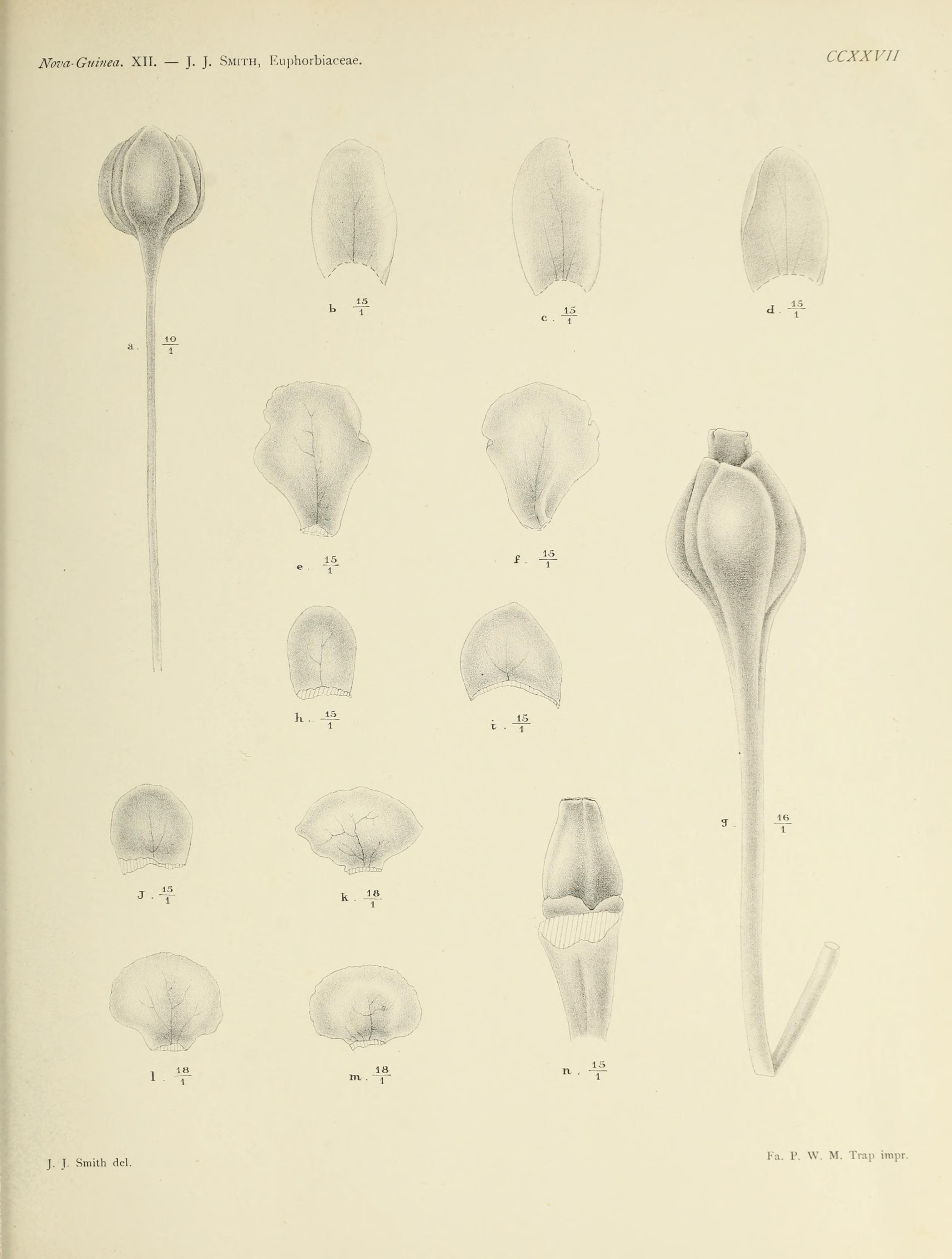 no full size  illustration available (3a)