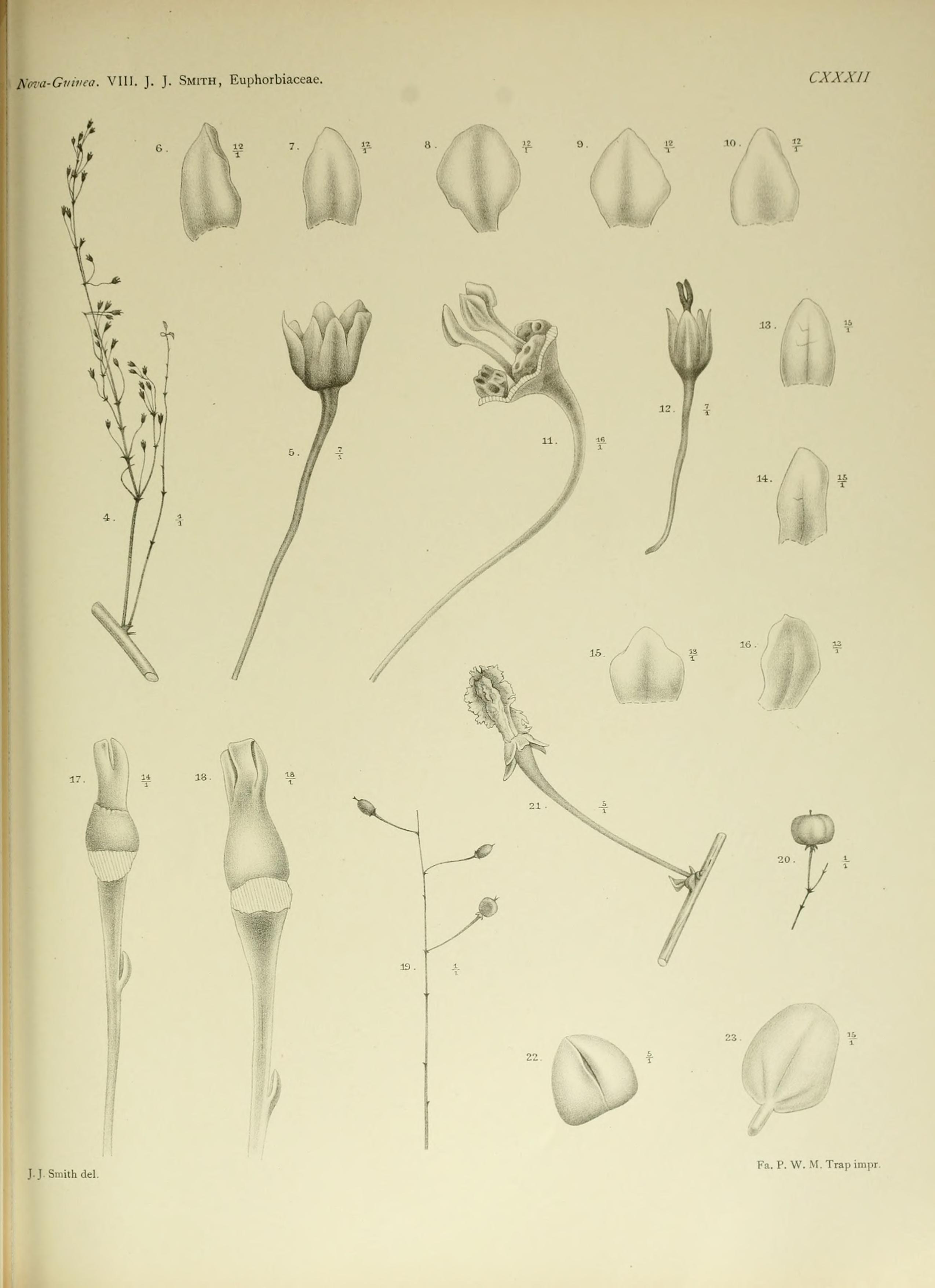 no full size  illustration available (3a)