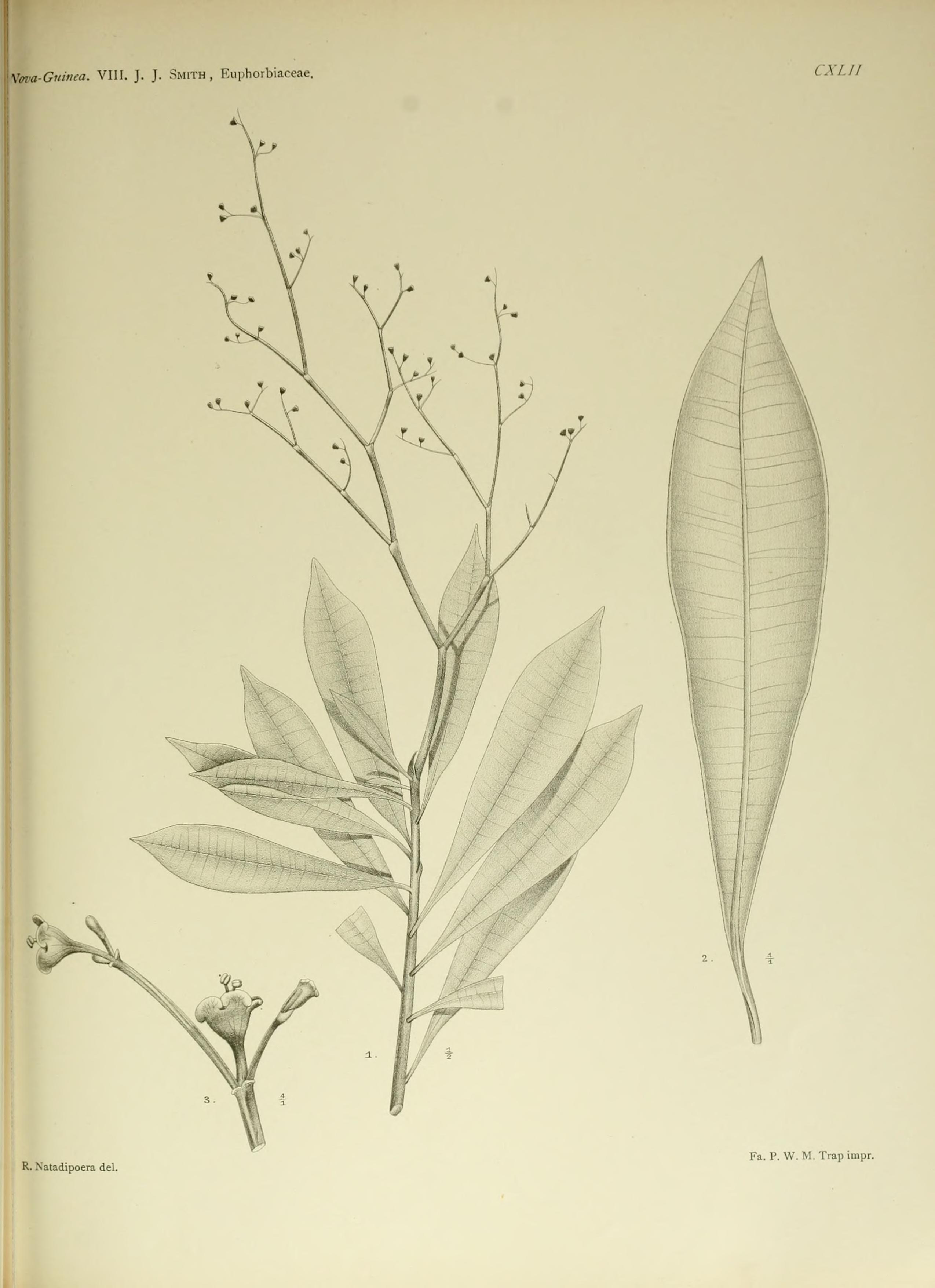 no full size  illustration available (3a)