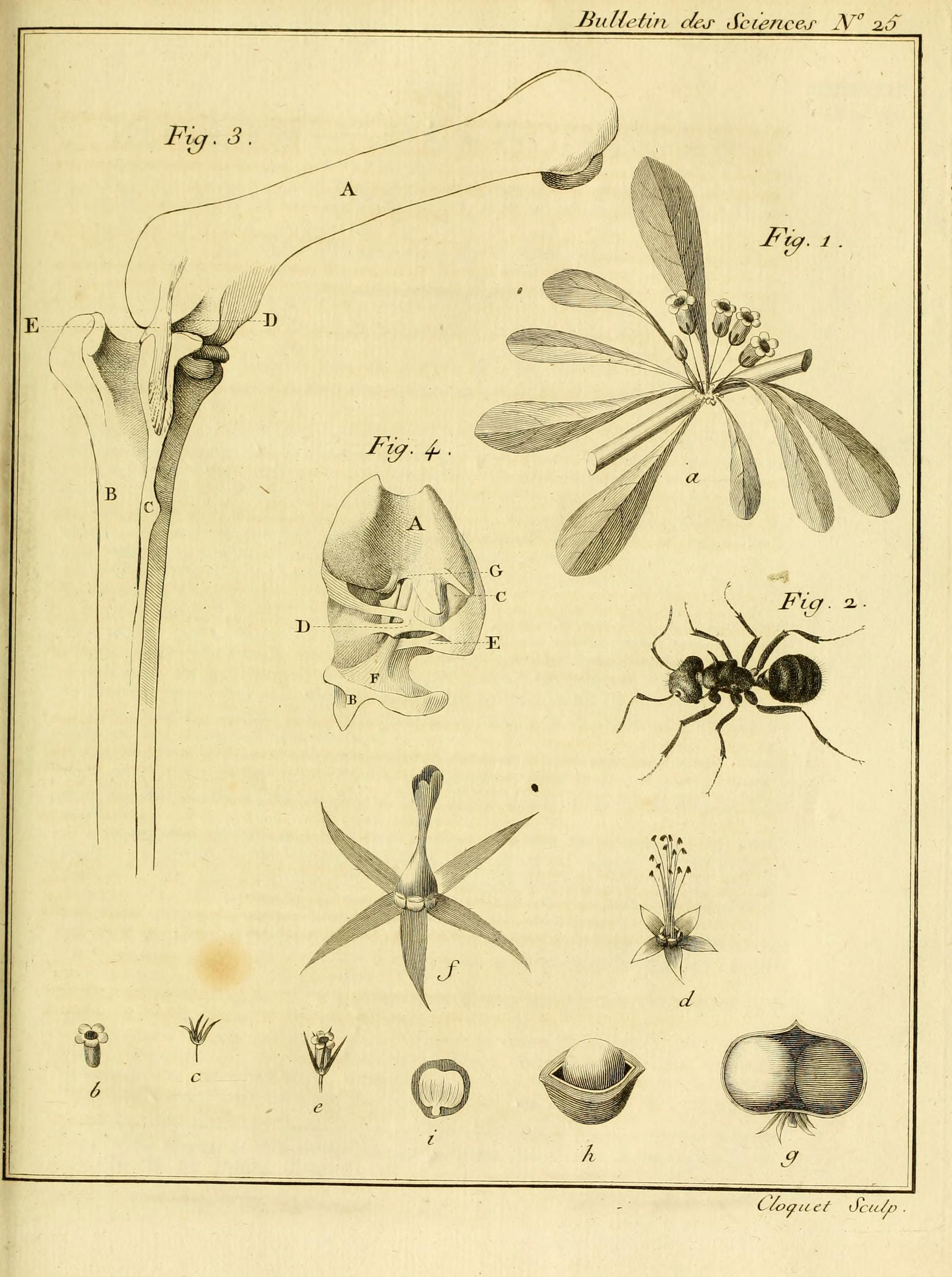 no full size  illustration available (3a)