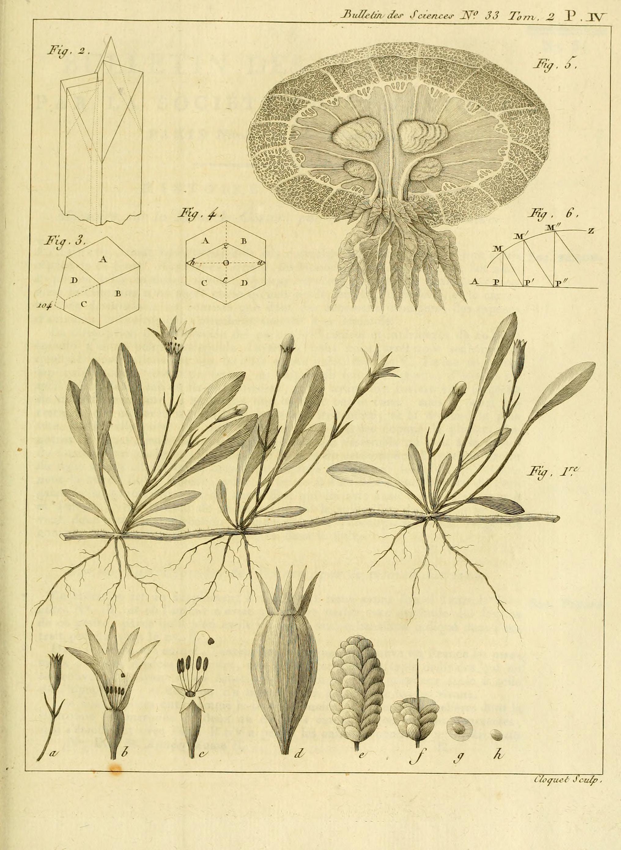 no full size  illustration available (3a)