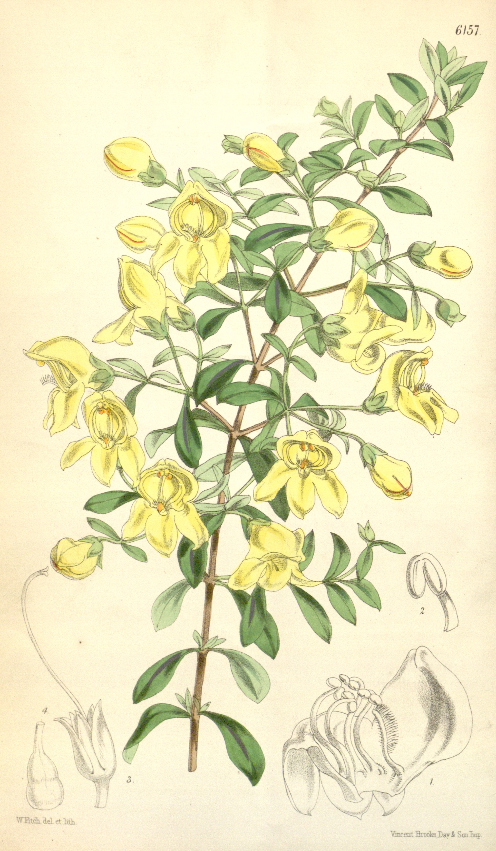 no full size  illustration available (3a)