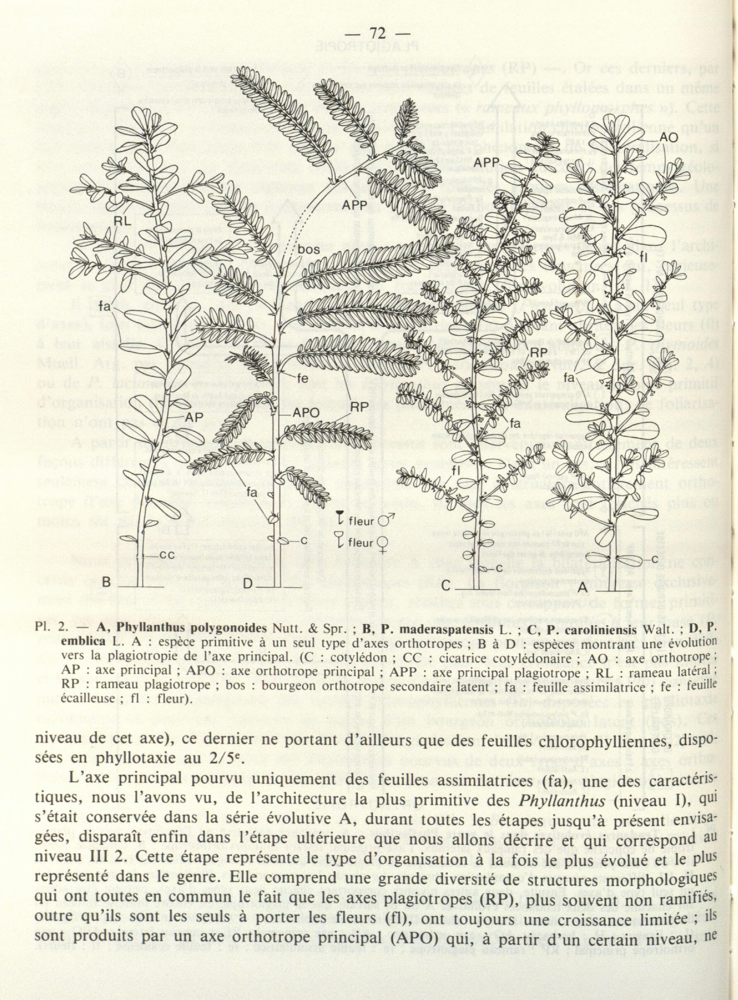 no full size  illustration available (3a)