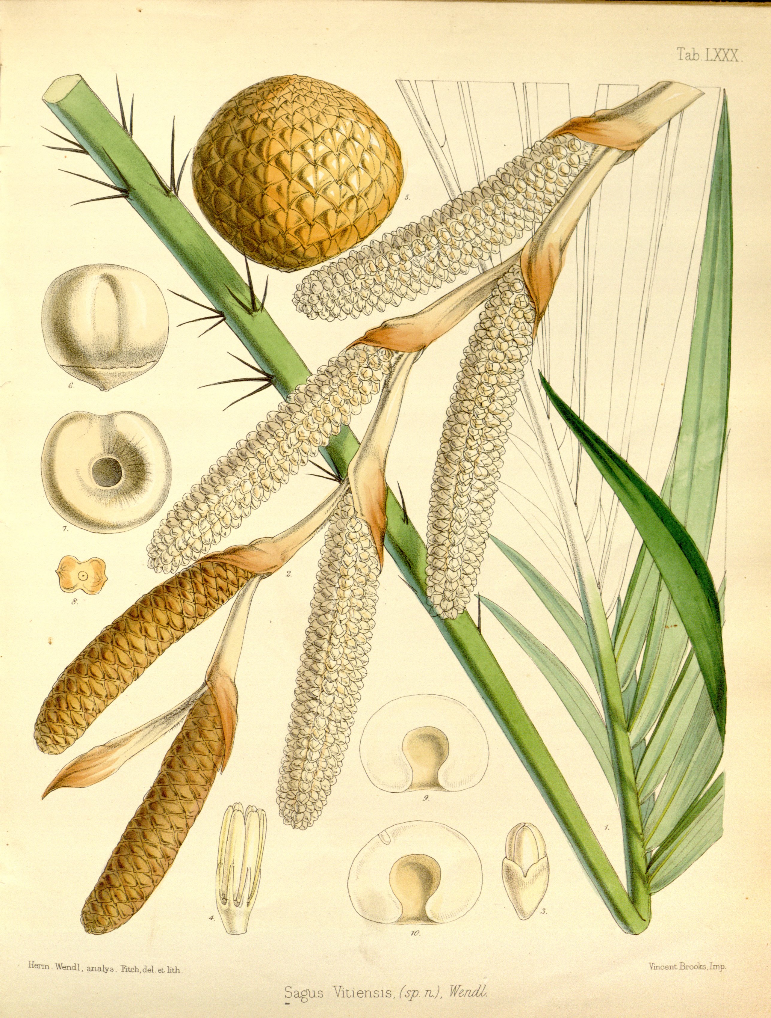 no full size  illustration available (3a)