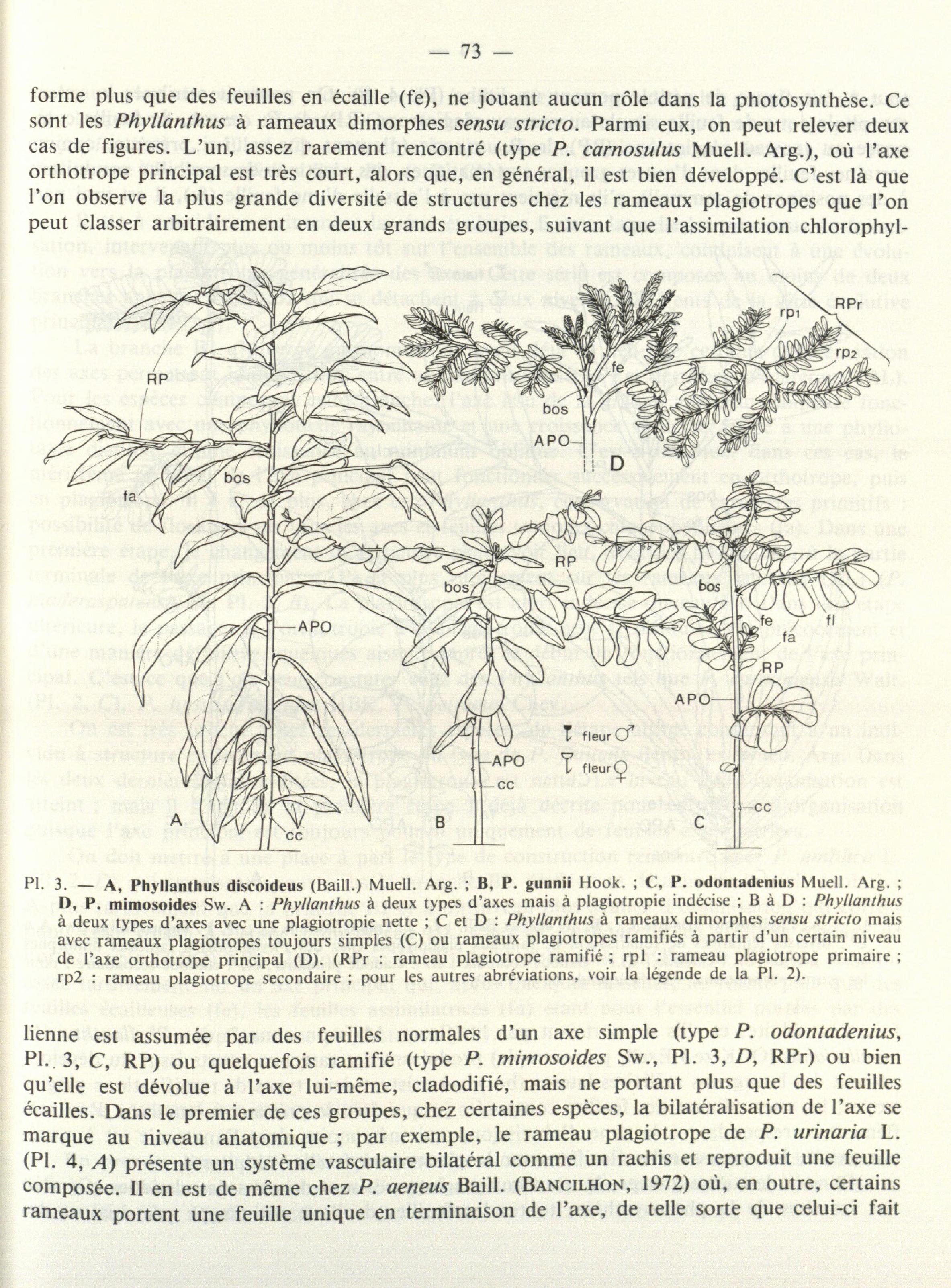 no full size  illustration available (3a)