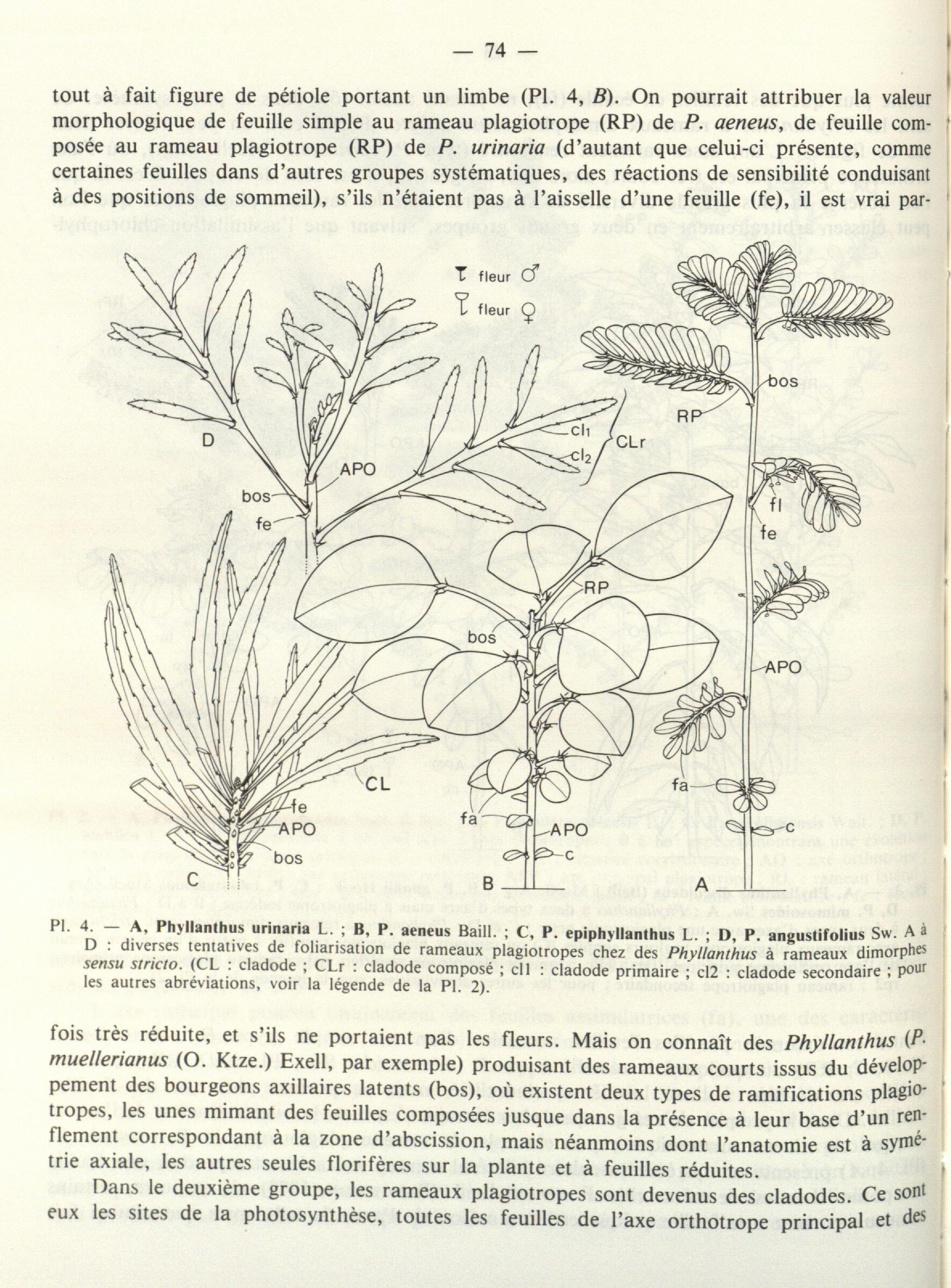 no full size  illustration available (3a)