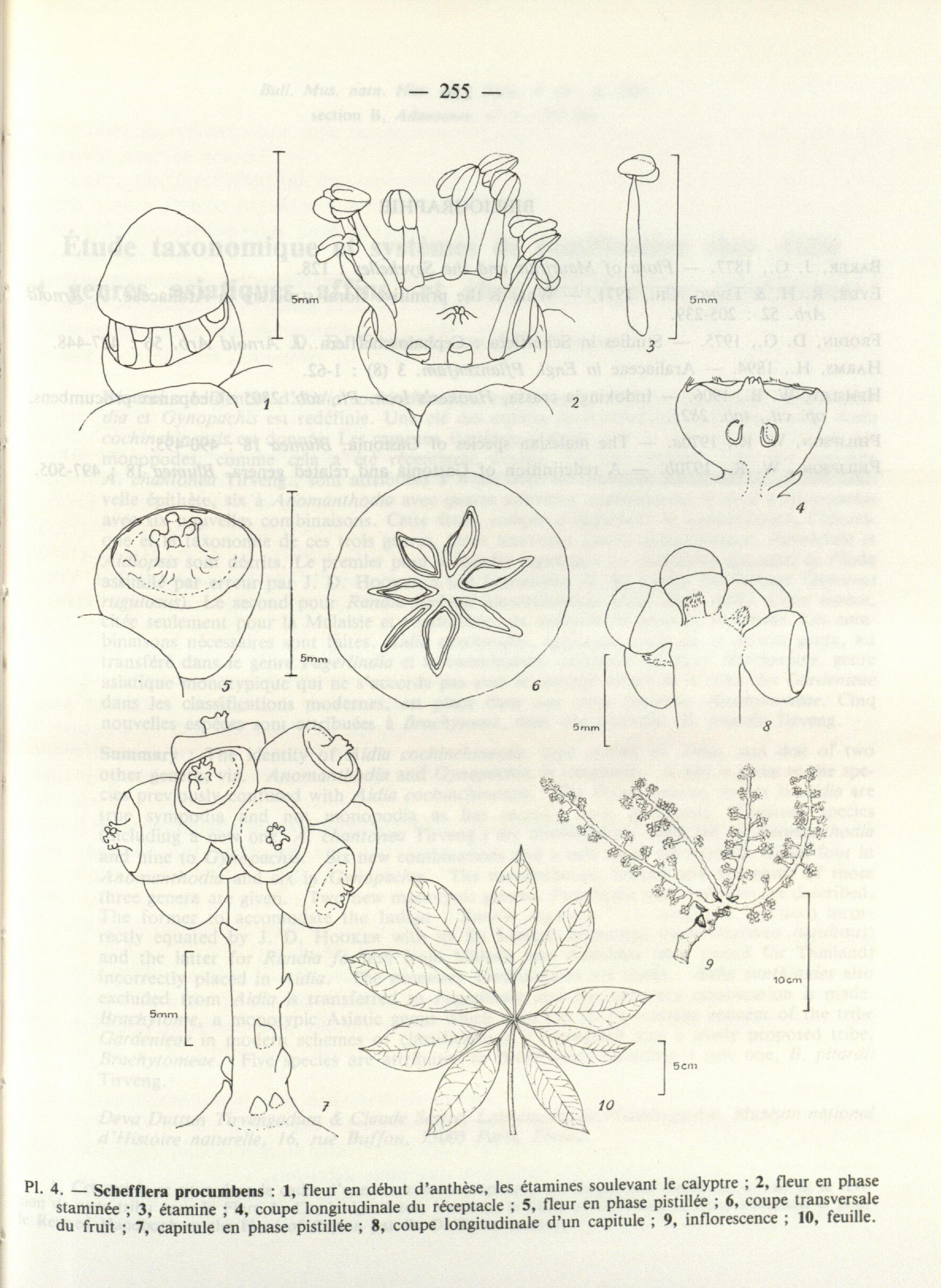 no full size  illustration available (3a)