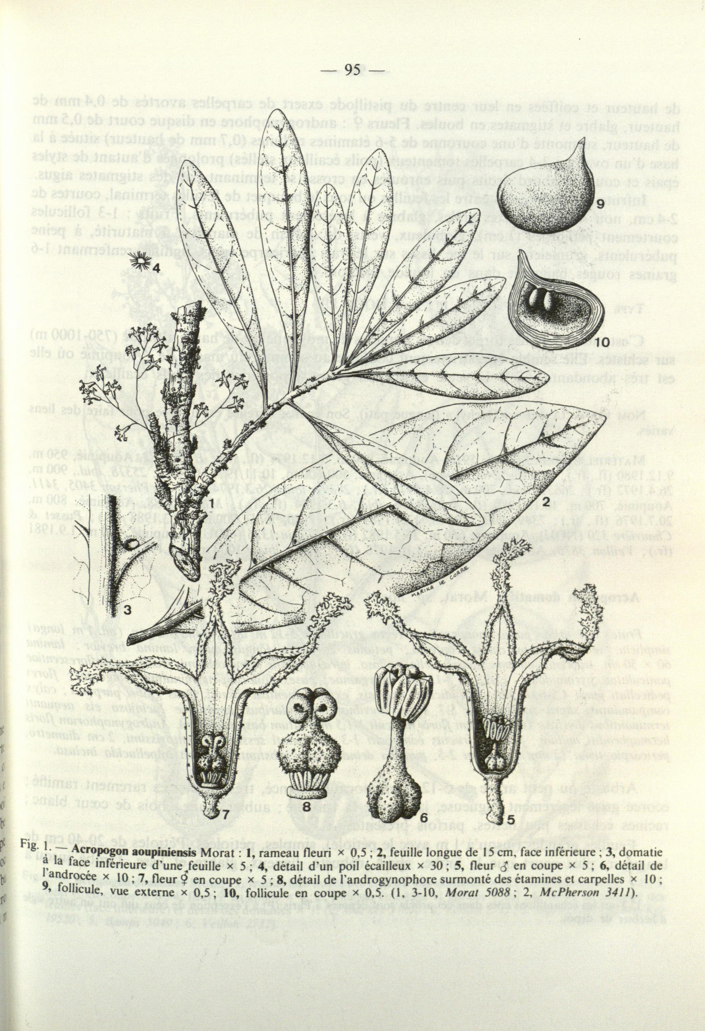 no full size  illustration available (3a)