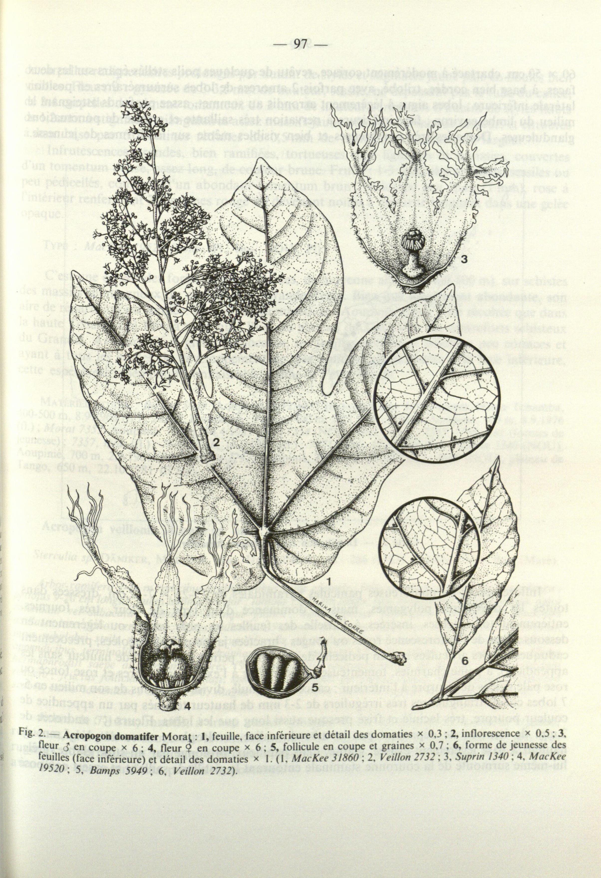 no full size  illustration available (3a)