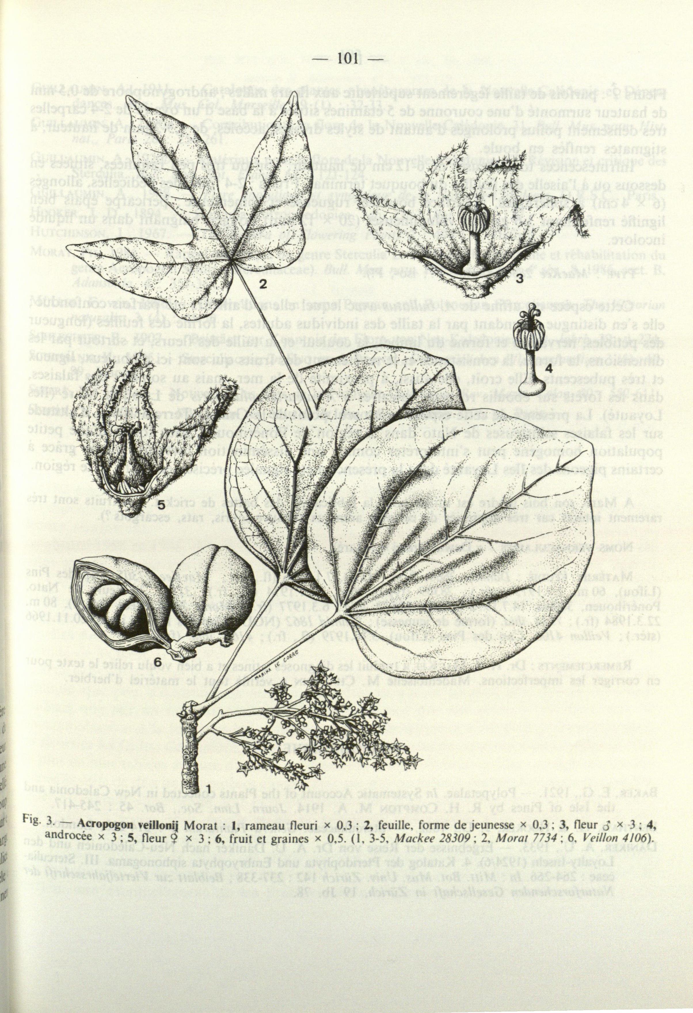 no full size  illustration available (3a)