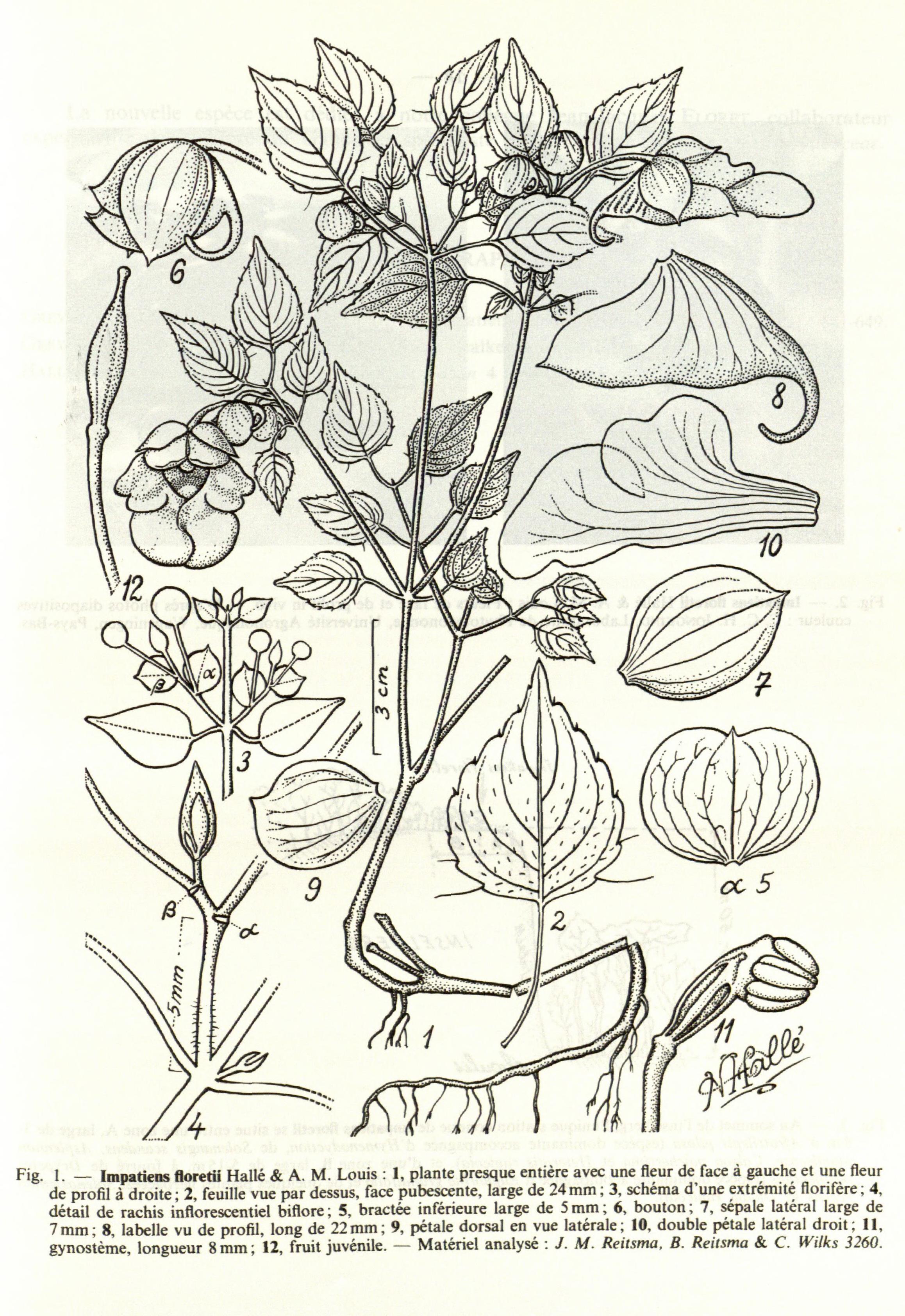 no full size  illustration available (3a)