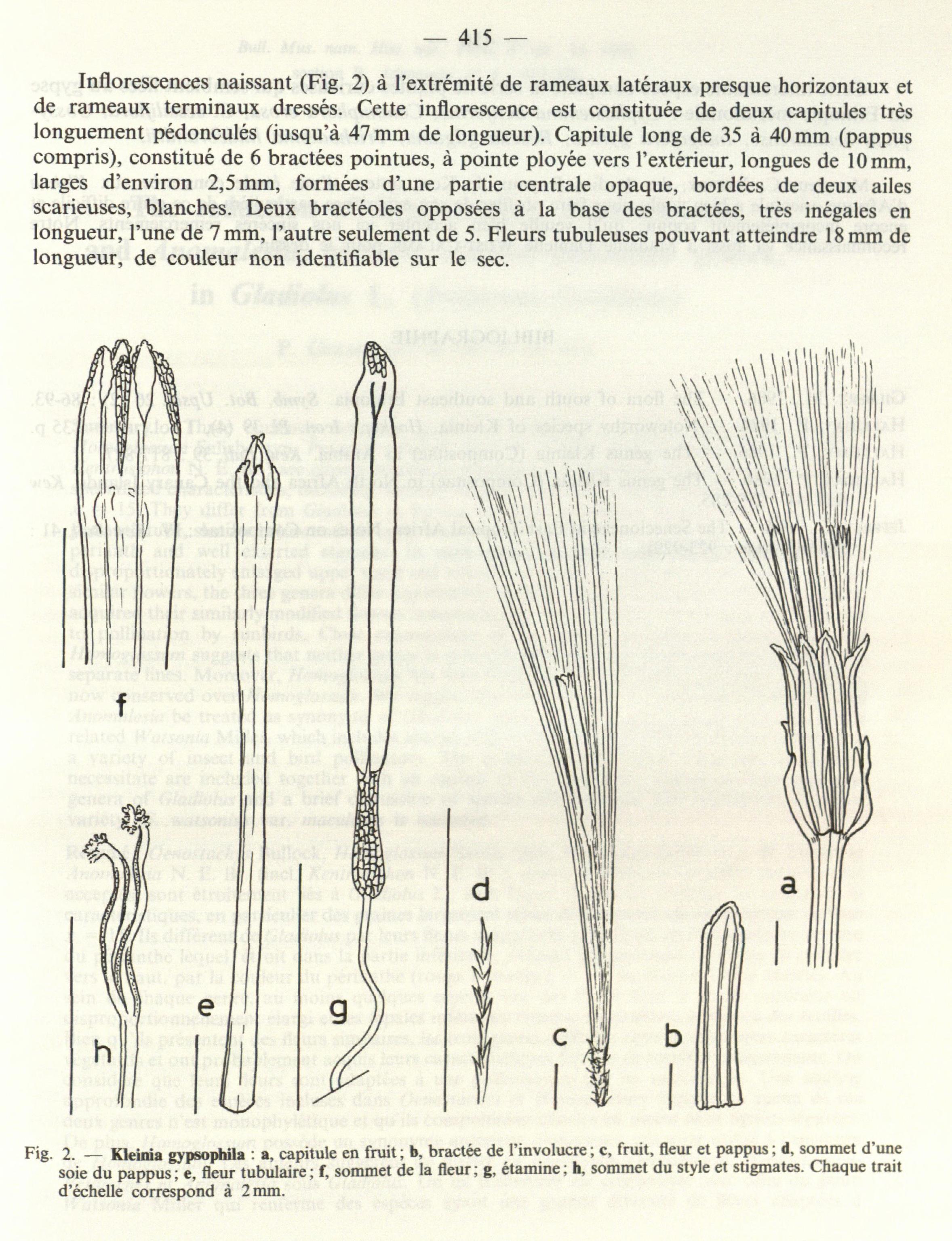 no full size  illustration available (3a)