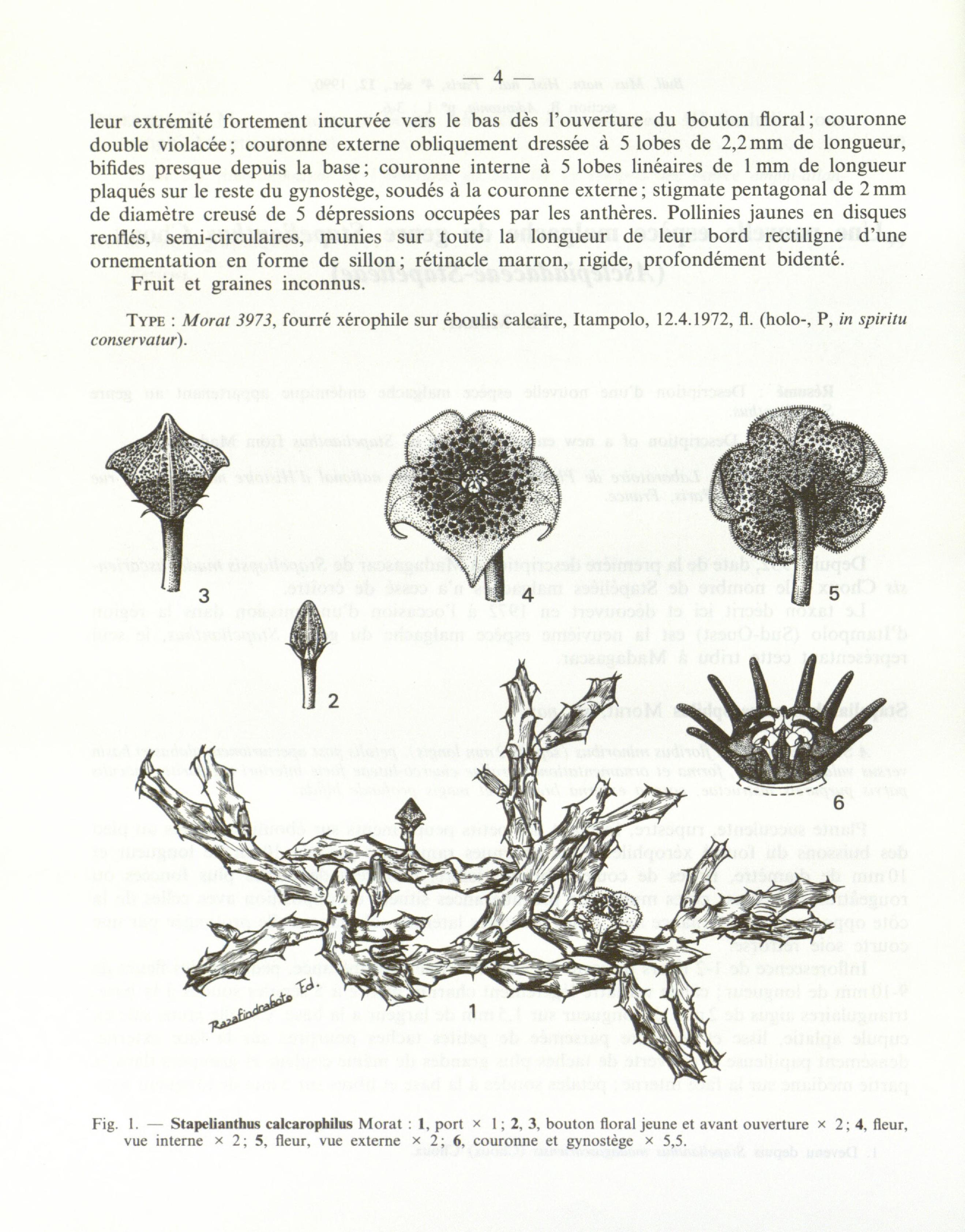 no full size  illustration available (3a)