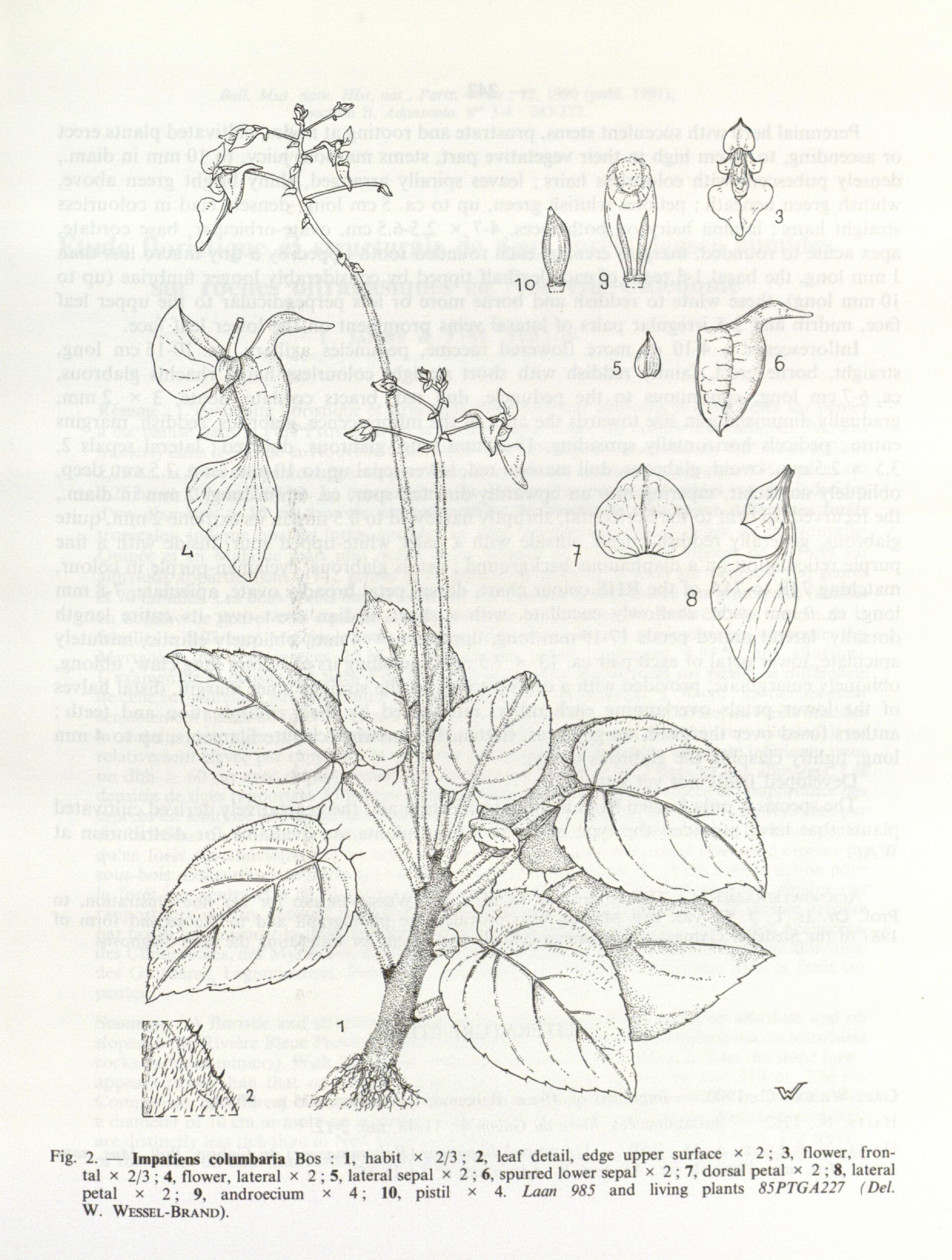 no full size  illustration available (3a)