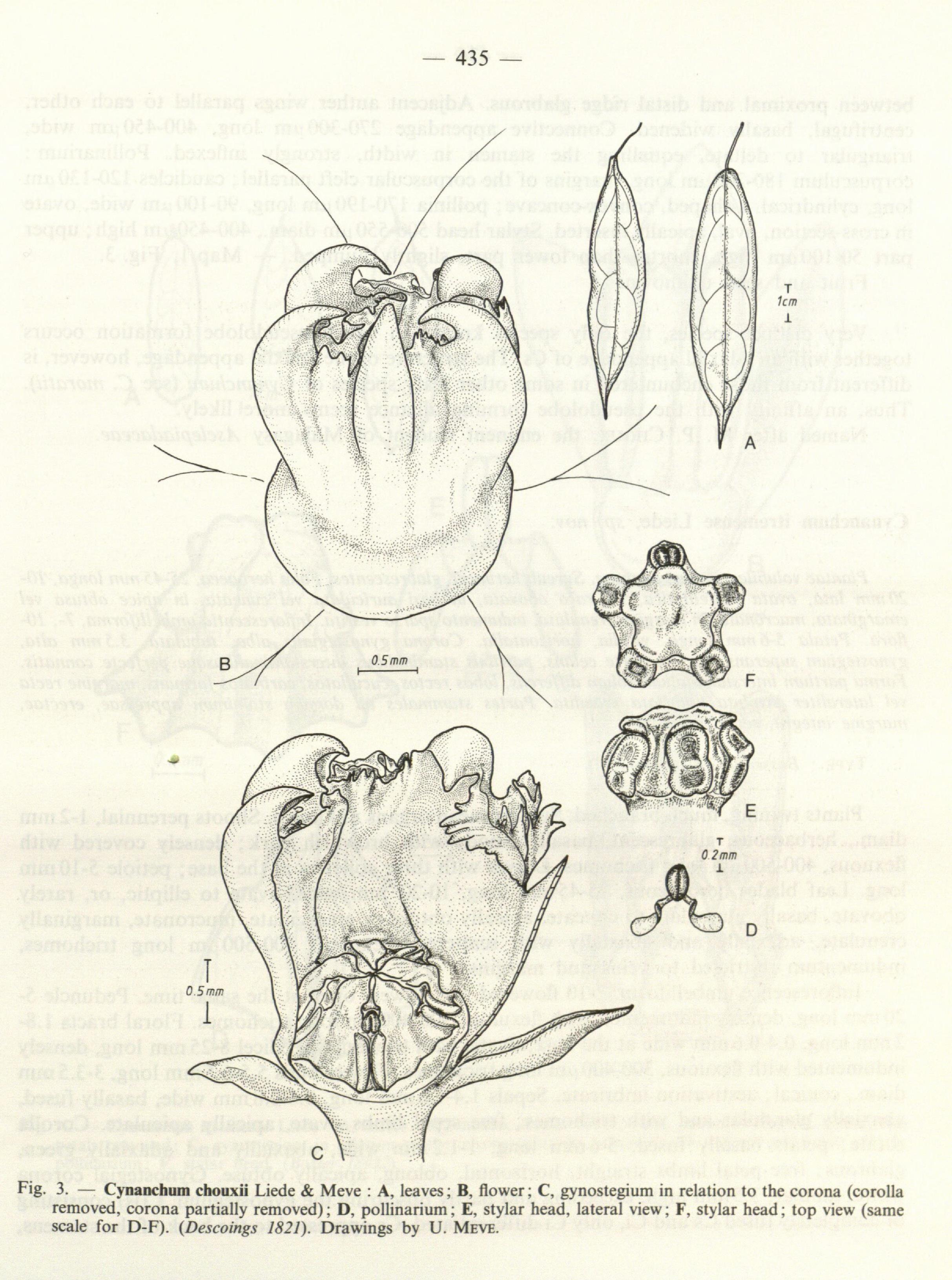 no full size  illustration available (3a)