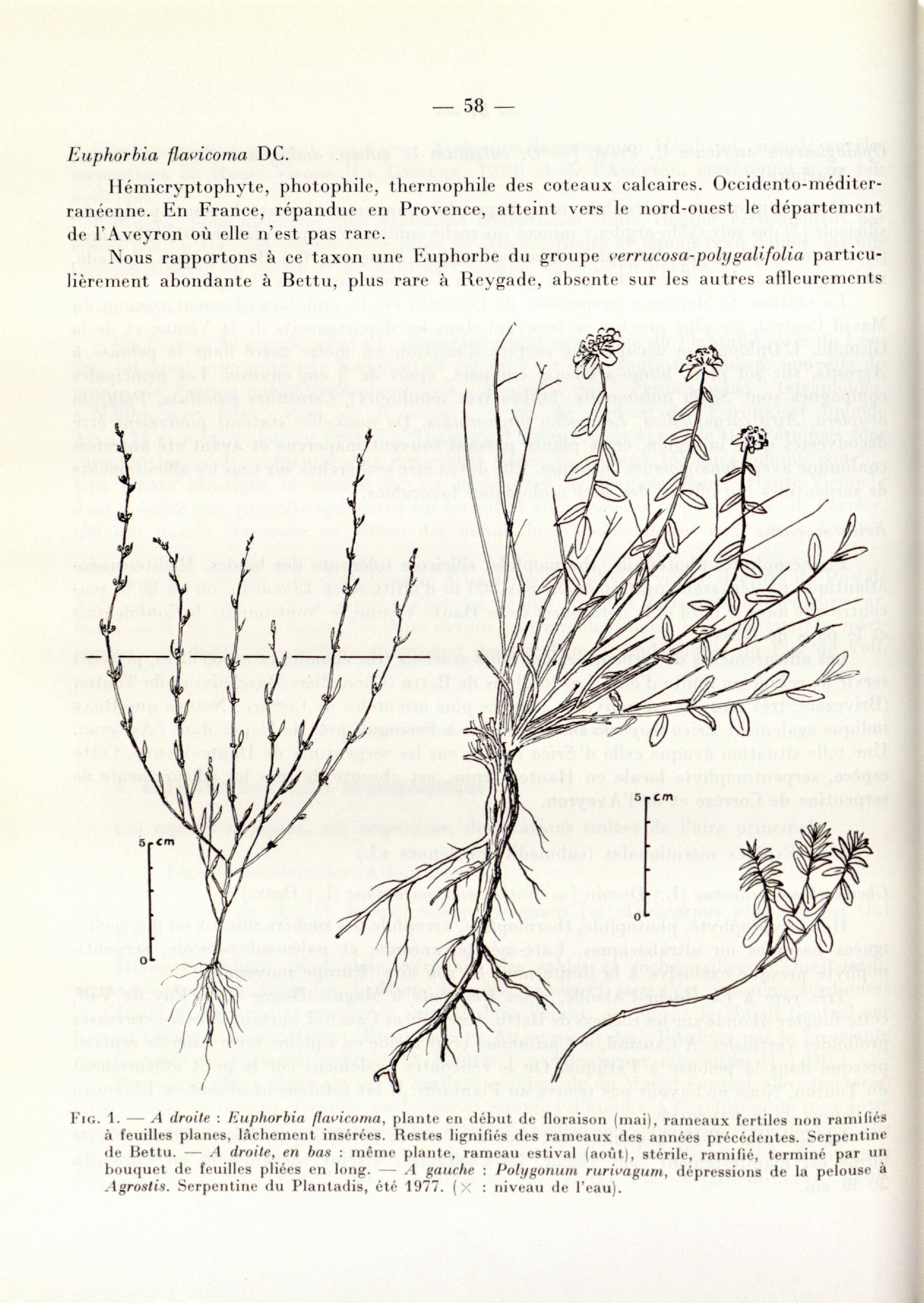 no full size  illustration available (3a)