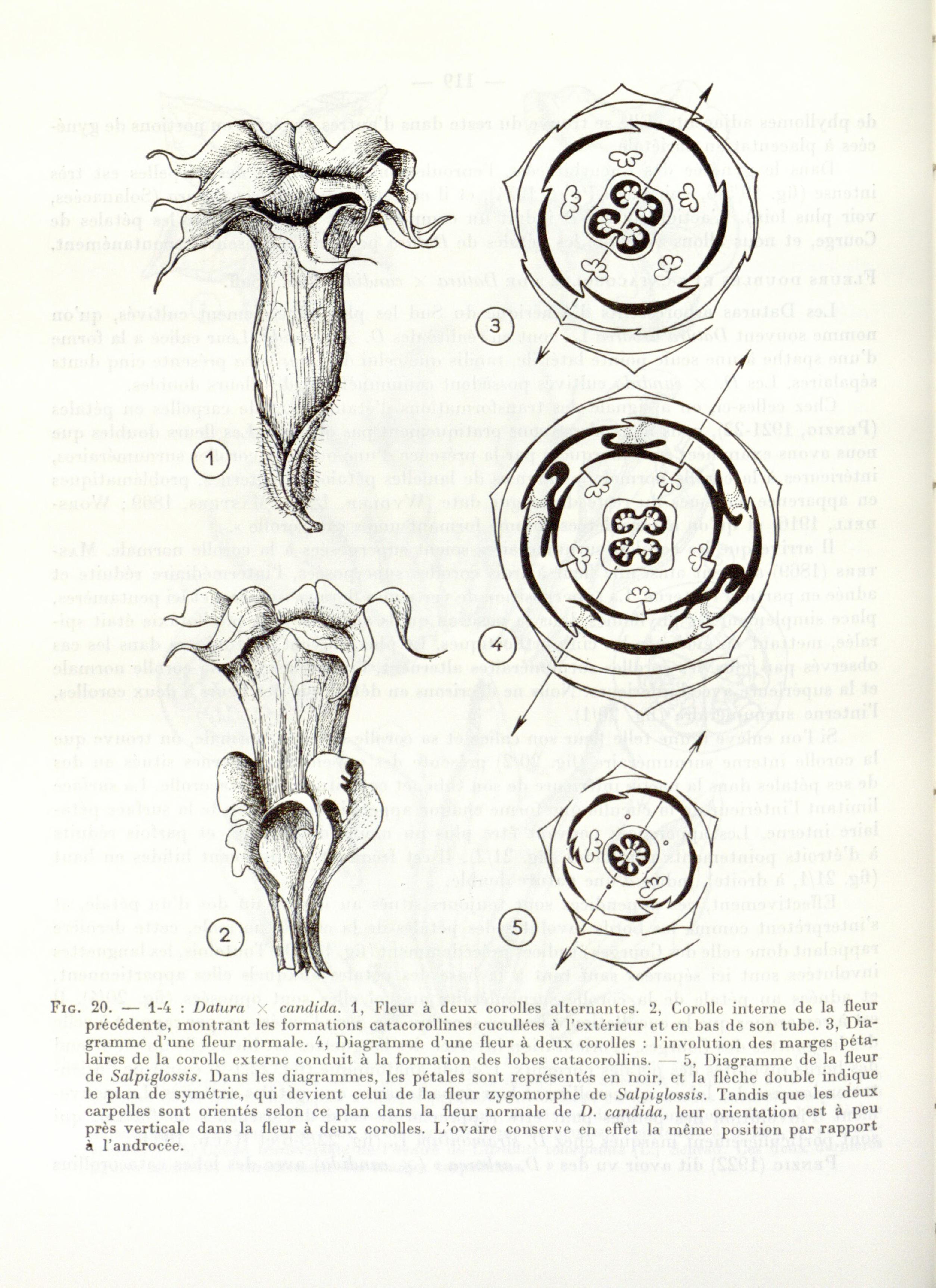 no full size  illustration available (3a)