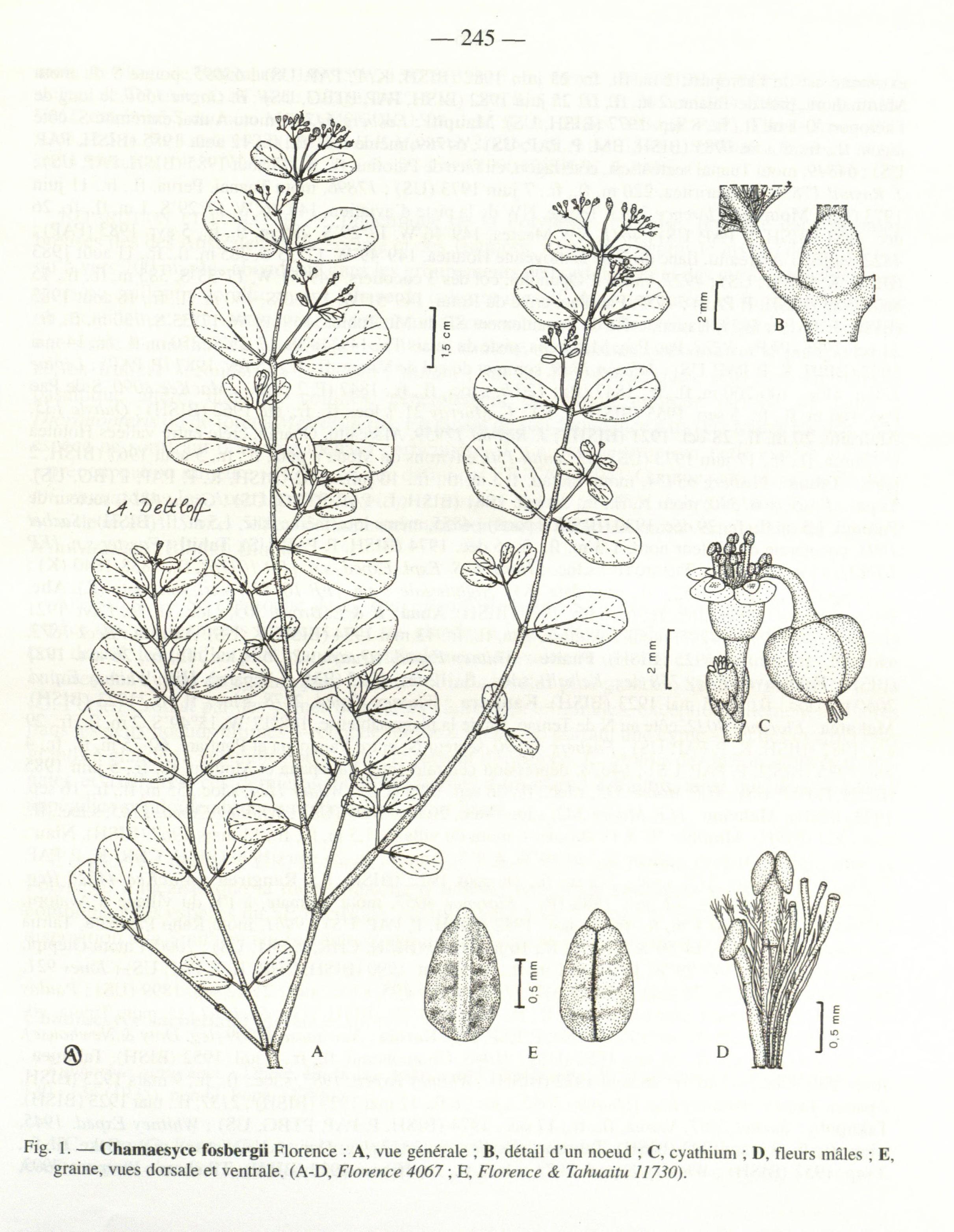 no full size  illustration available (3a)