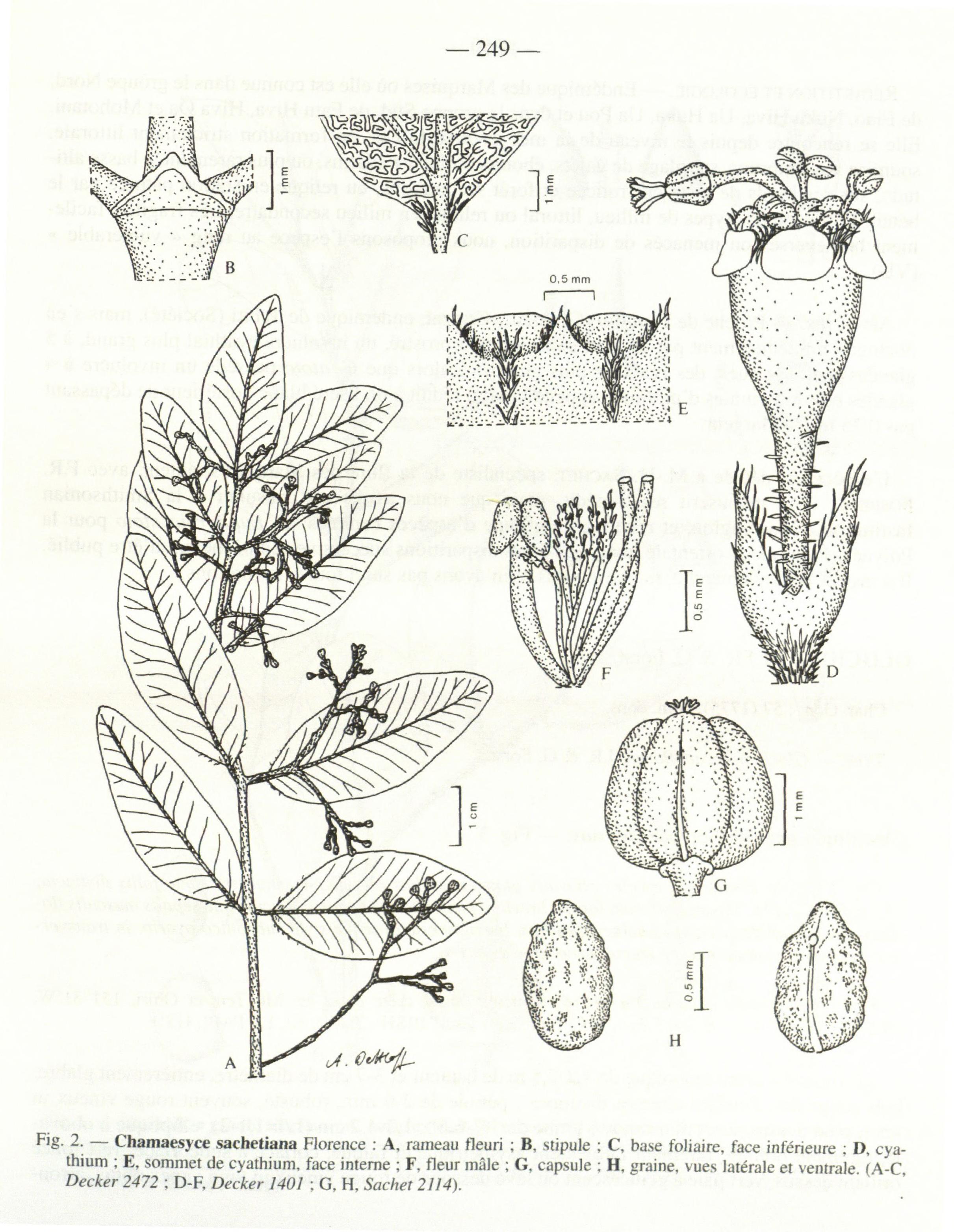 no full size  illustration available (3a)