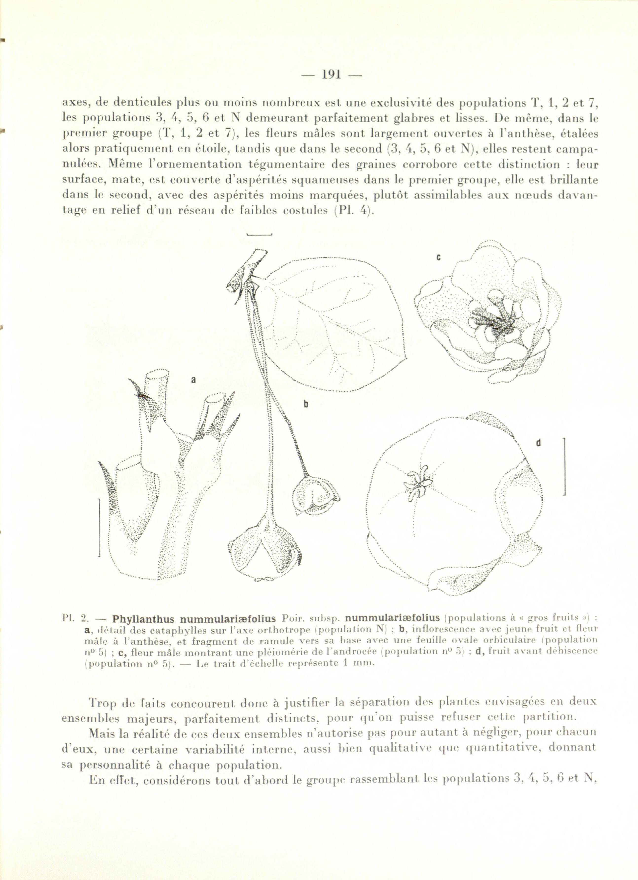 no full size  illustration available (3a)