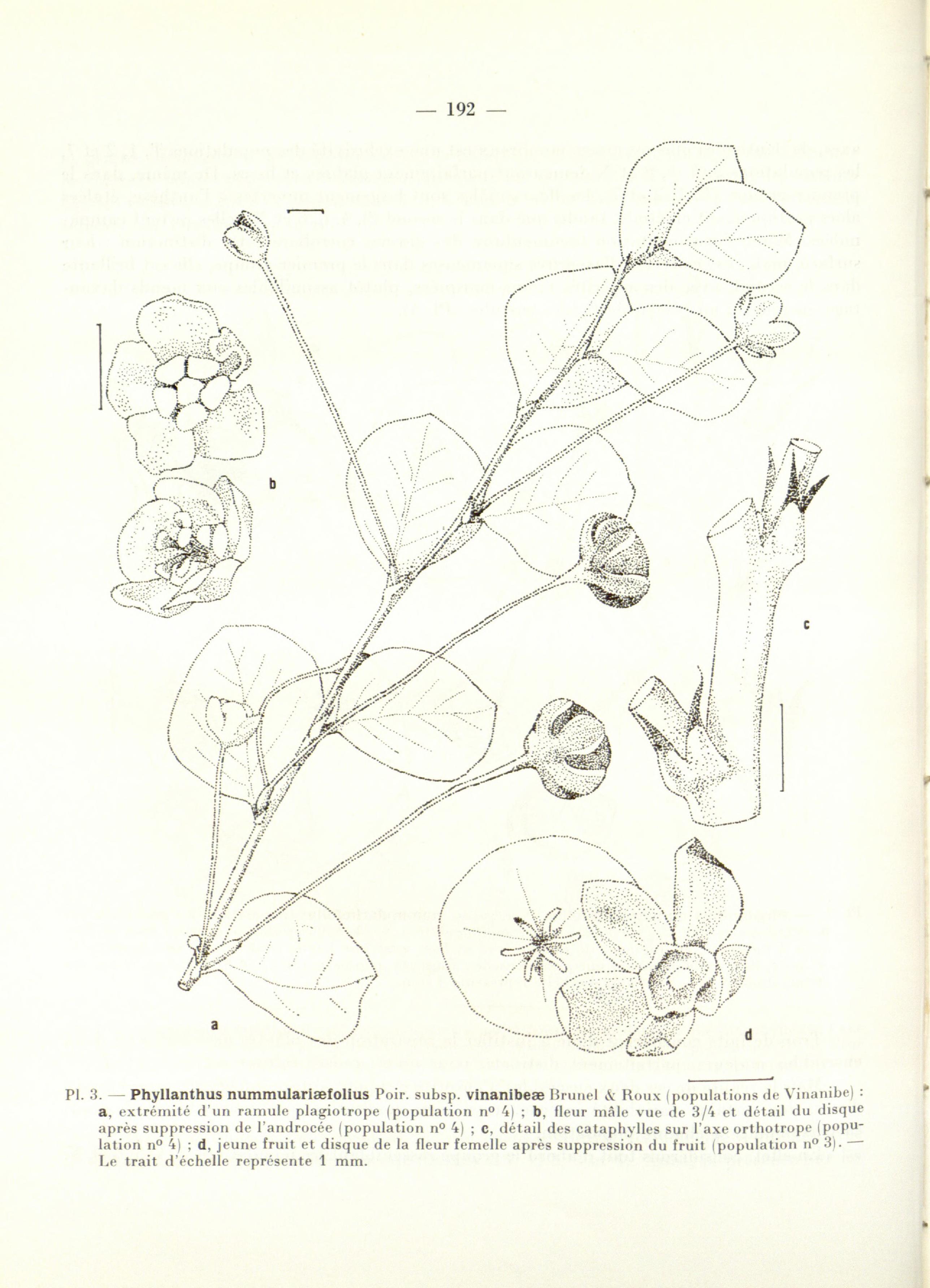 no full size  illustration available (3a)