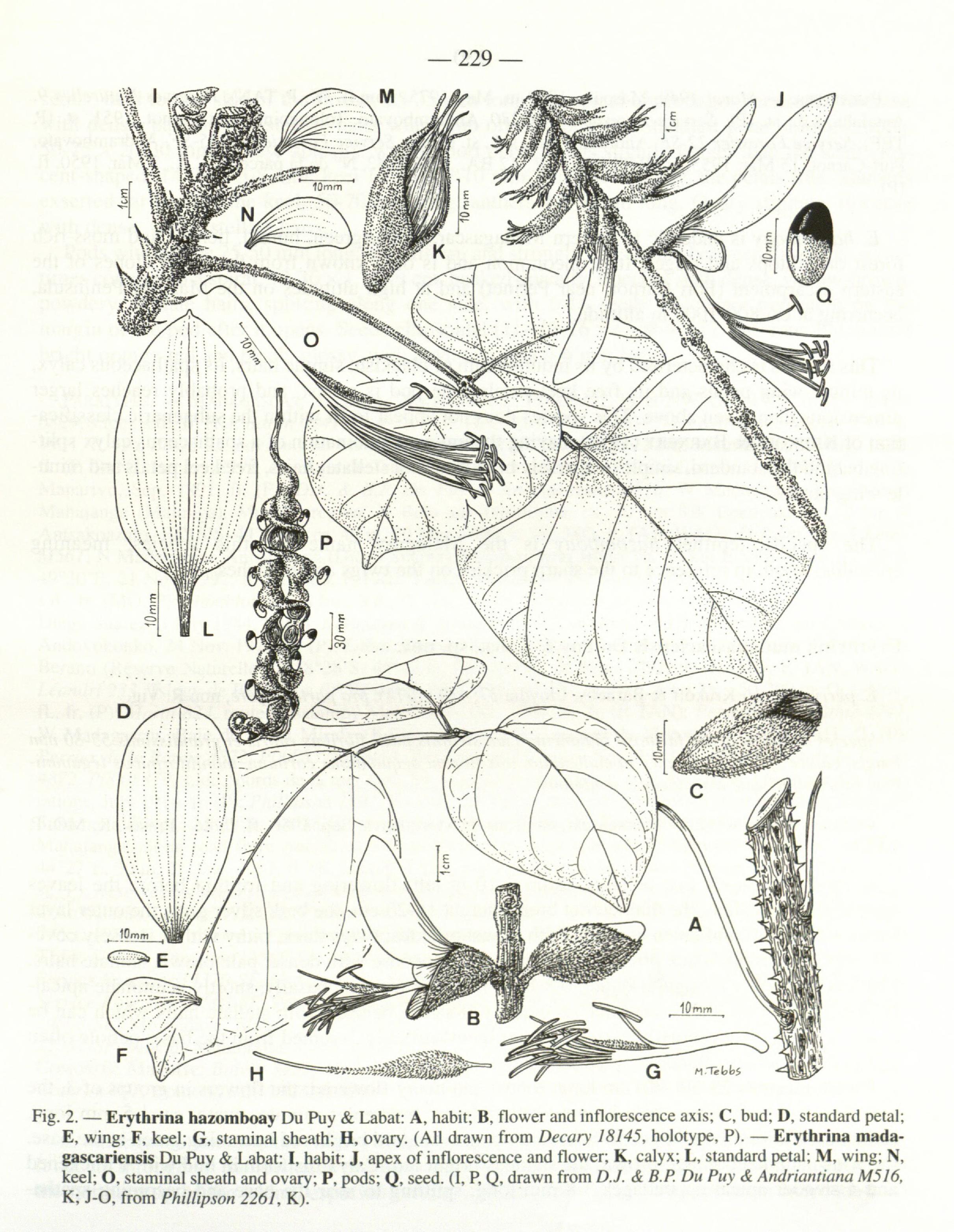 no full size  illustration available (3a)