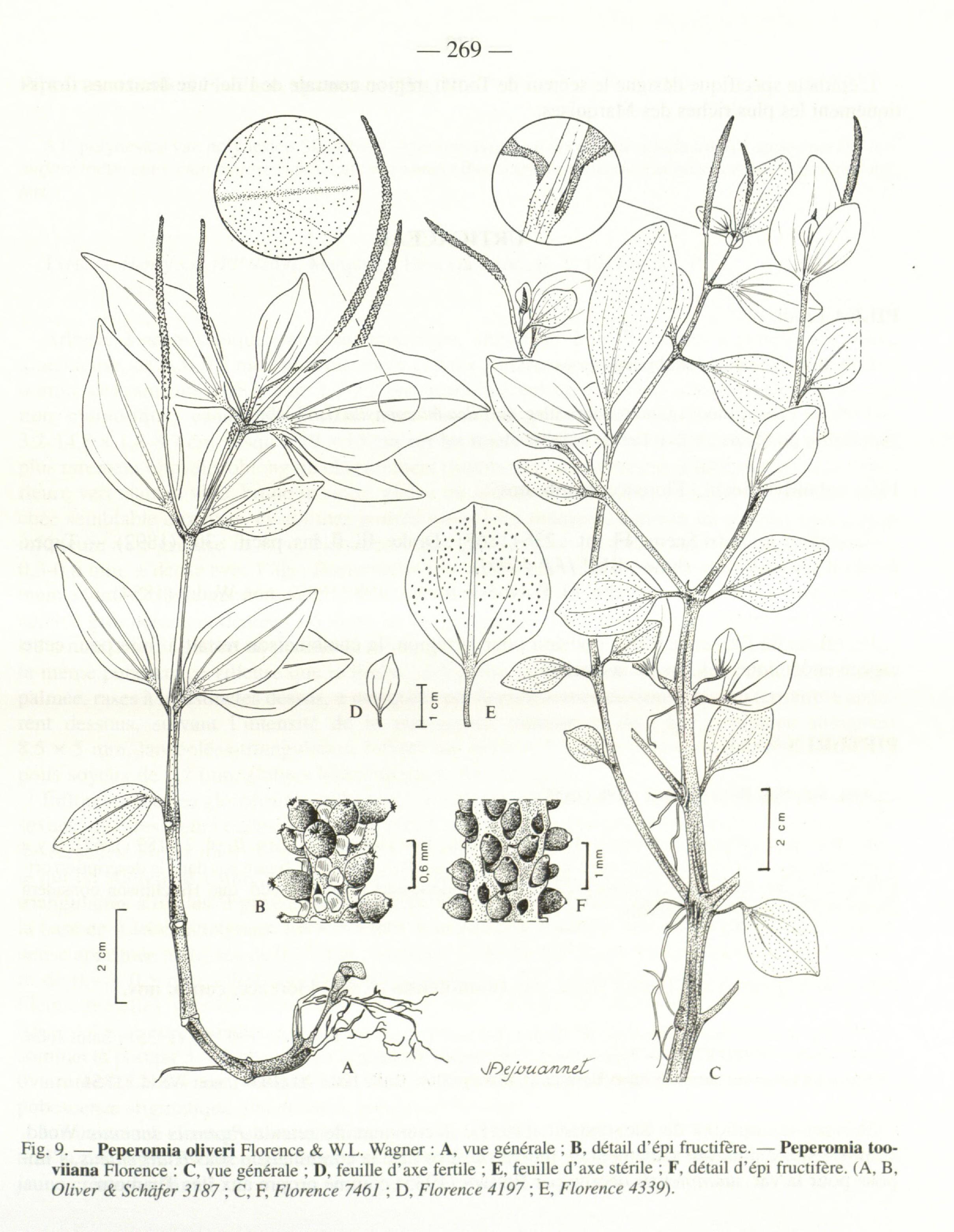 no full size  illustration available (3a)