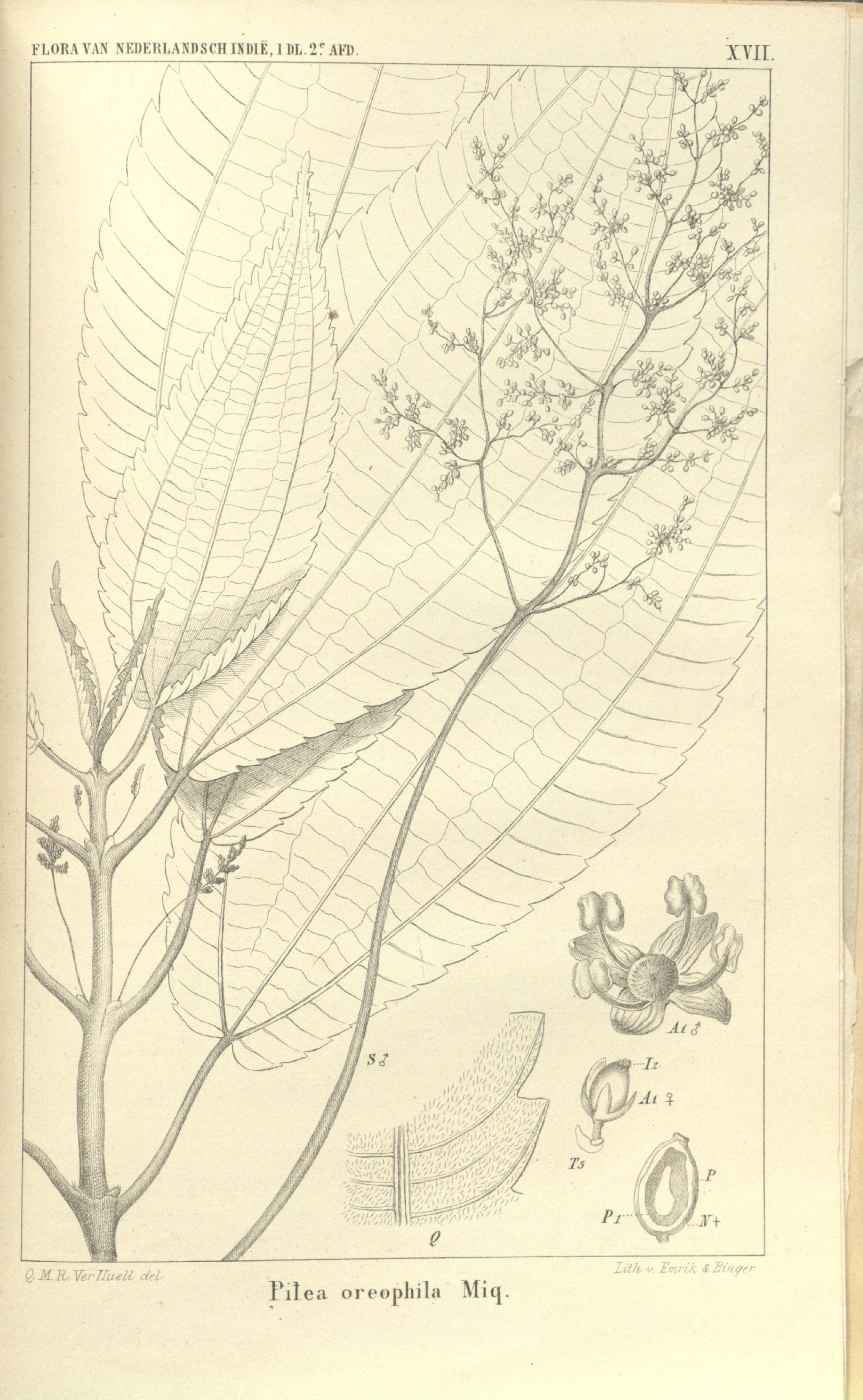 no full size  illustration available (3a)