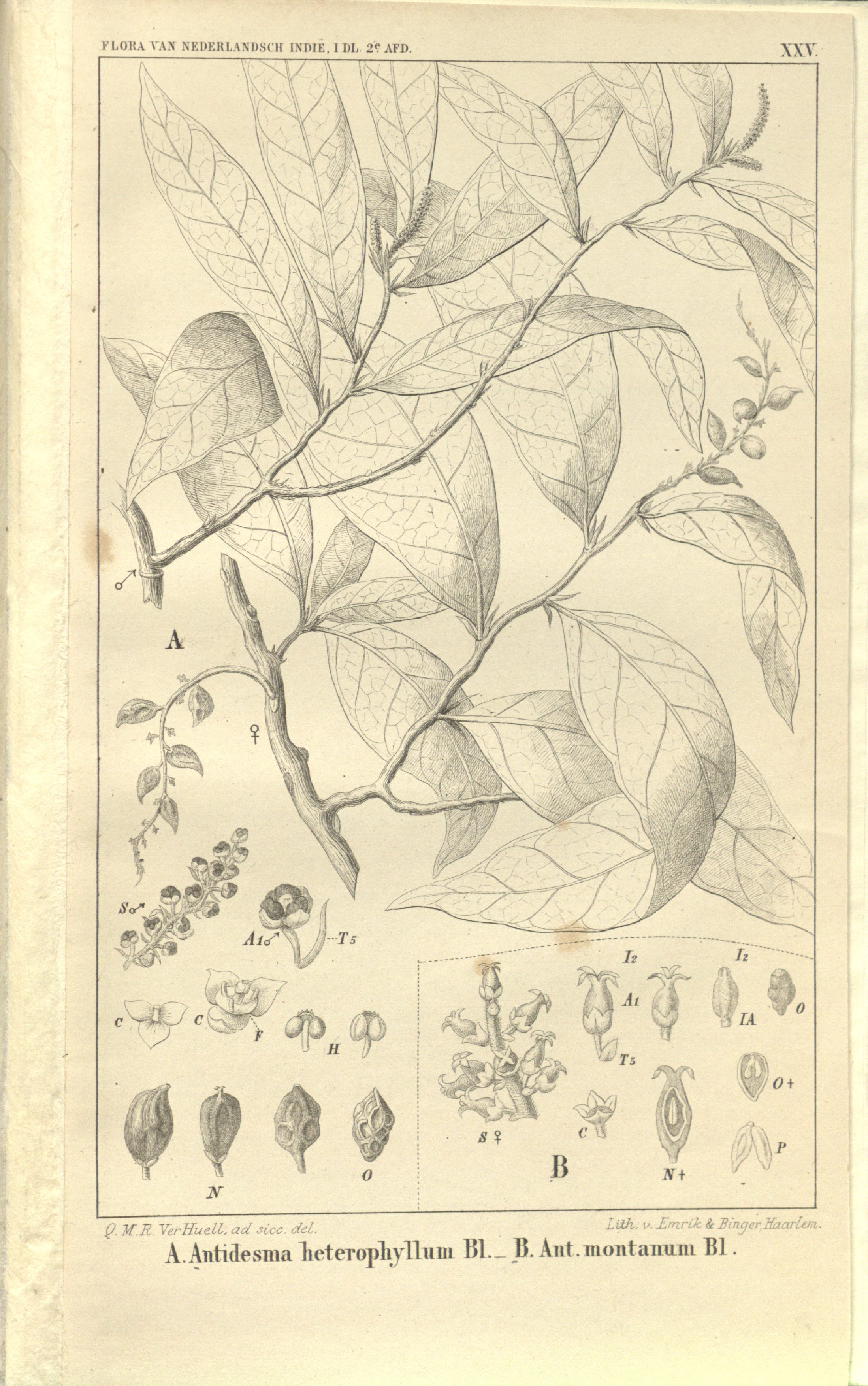 no full size  illustration available (3a)