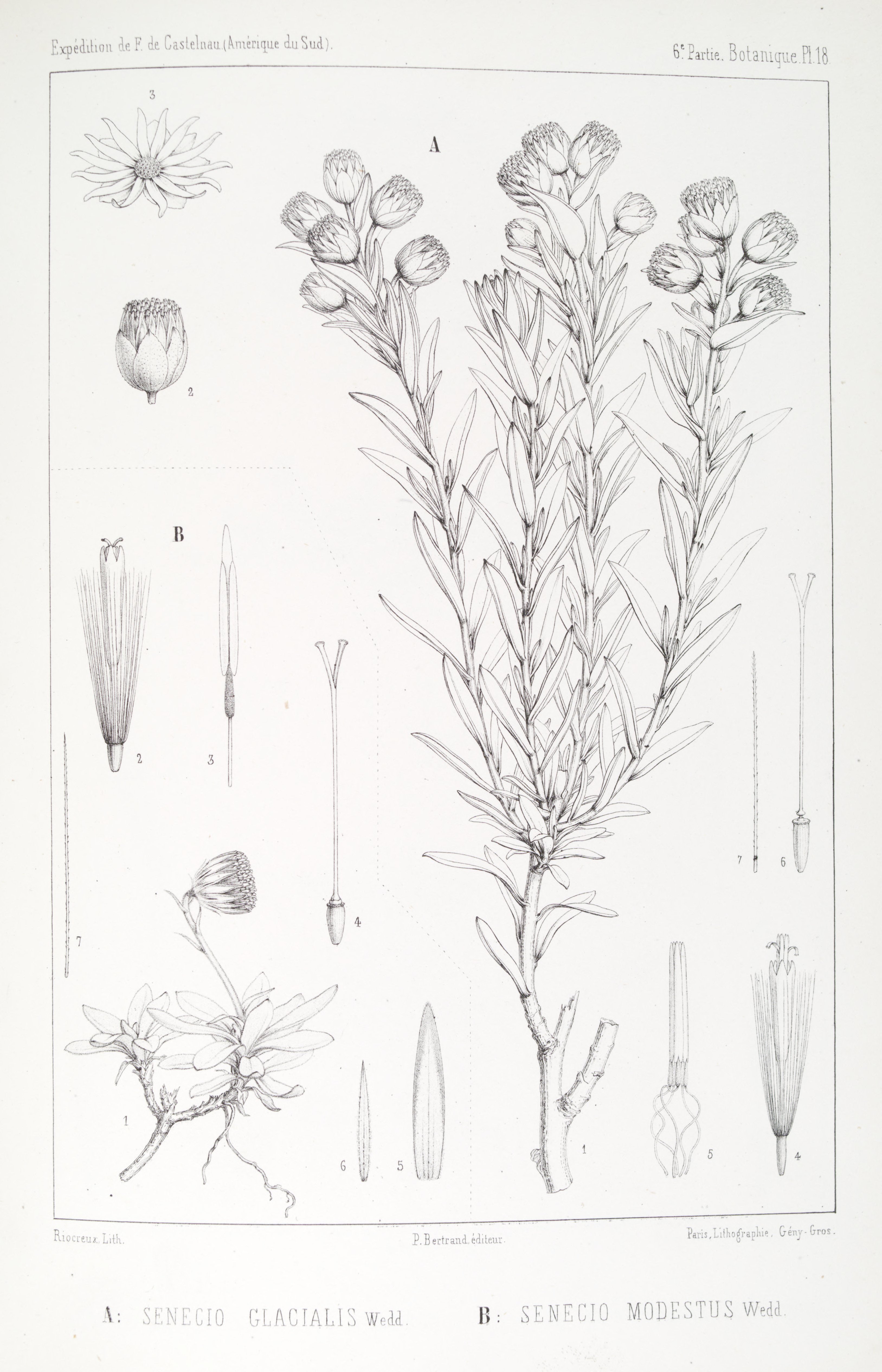 no full size  illustration available (3a)