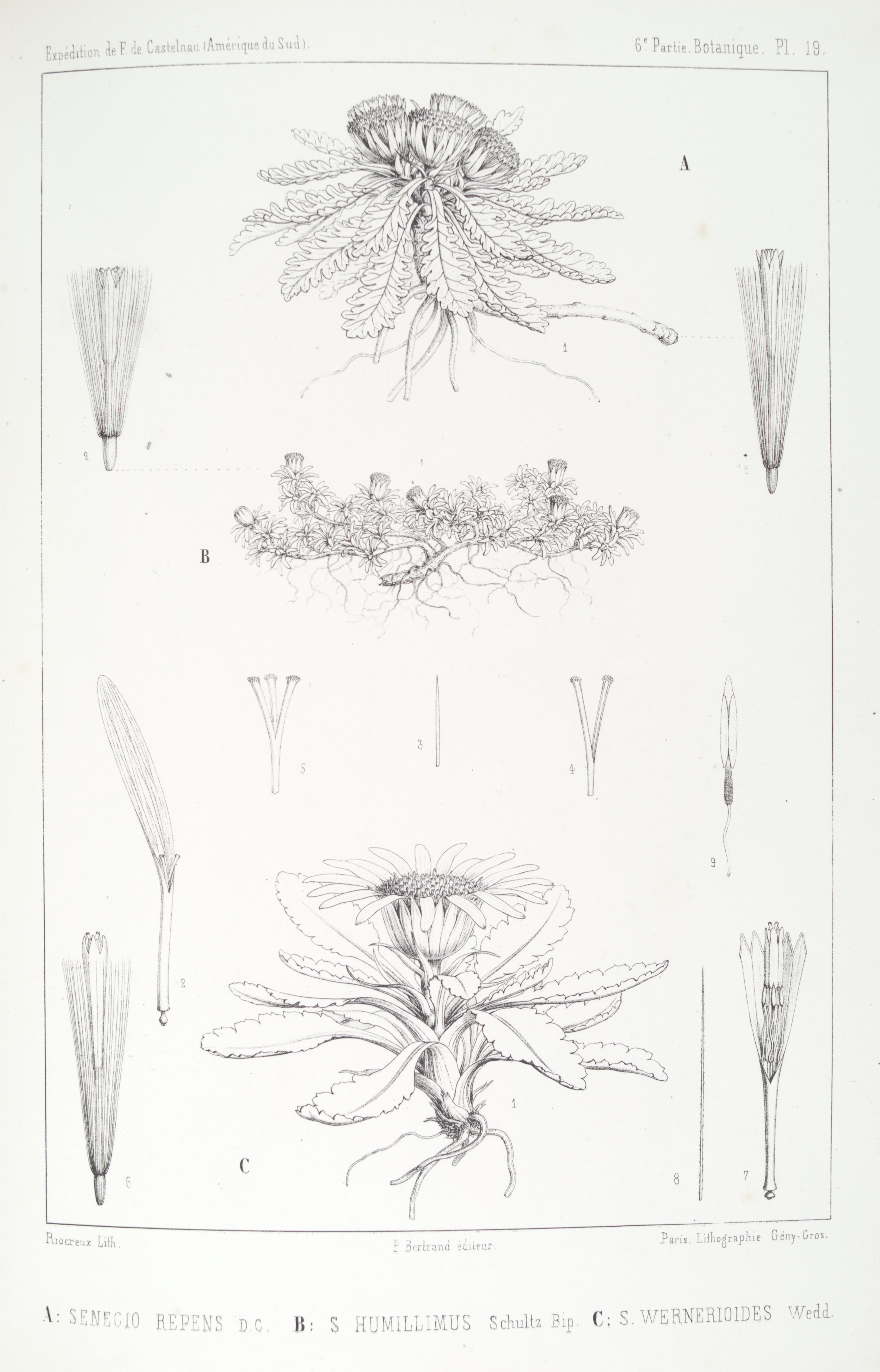 no full size  illustration available (3a)