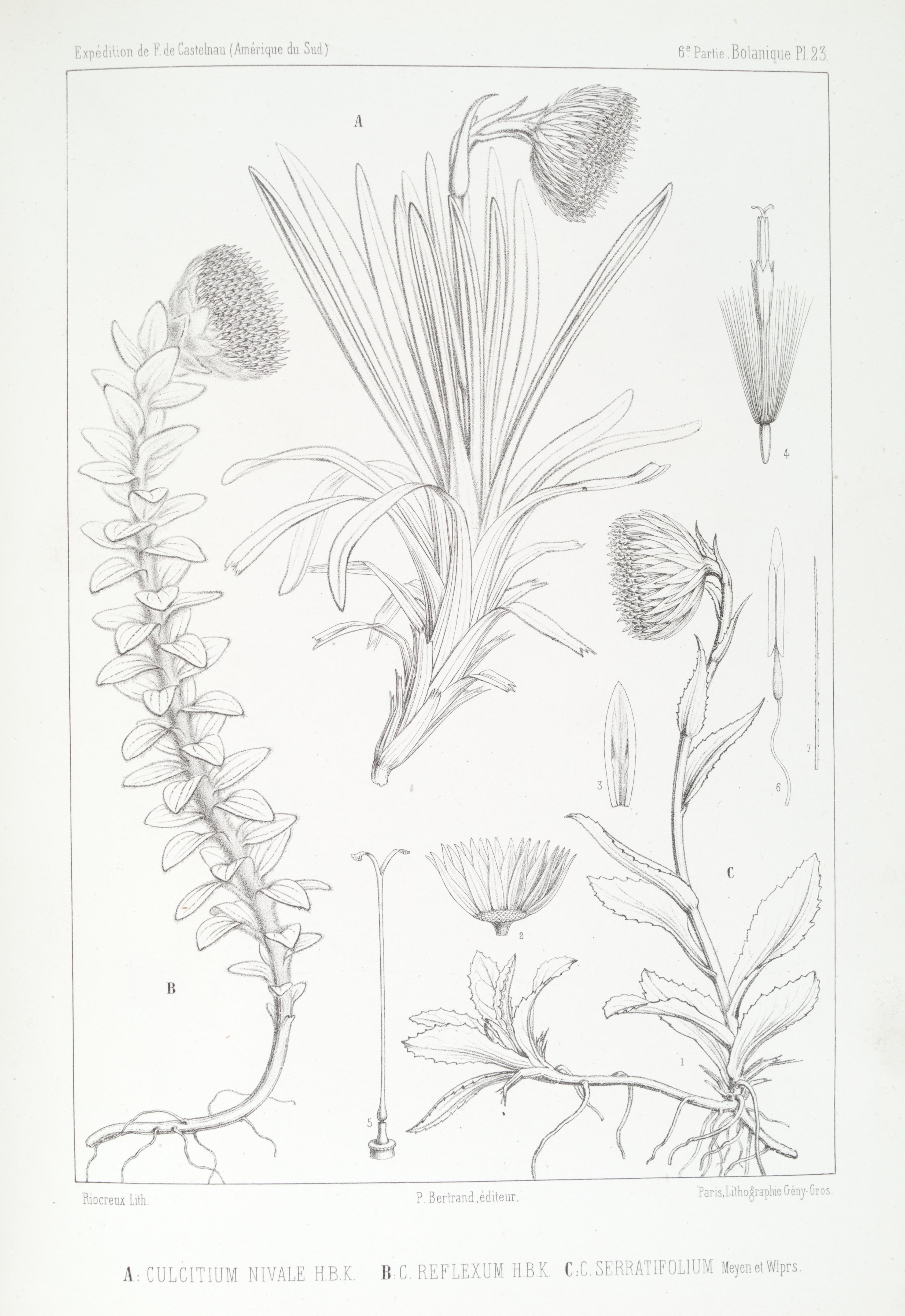 no full size  illustration available (3a)