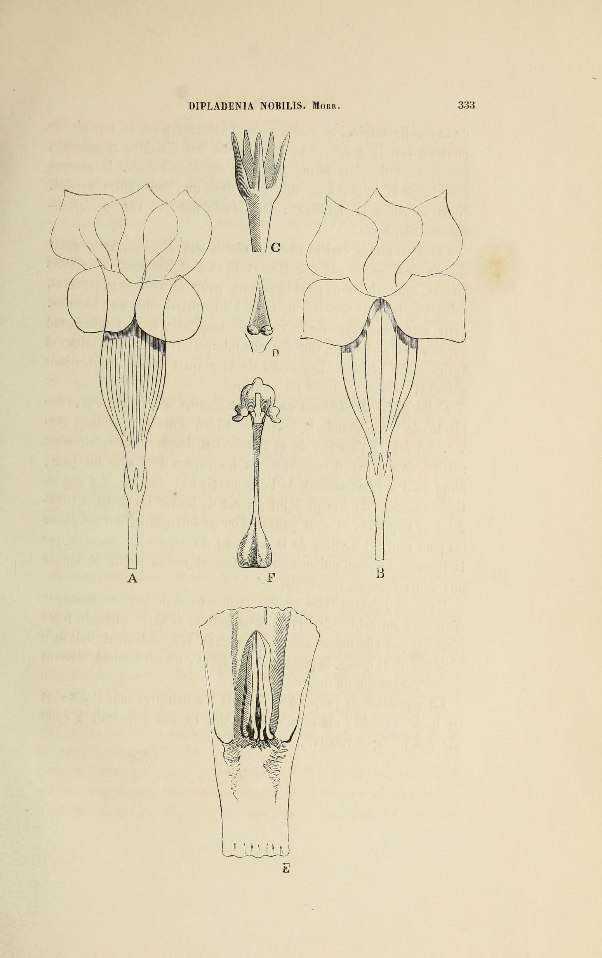 no full size  illustration available (3a)